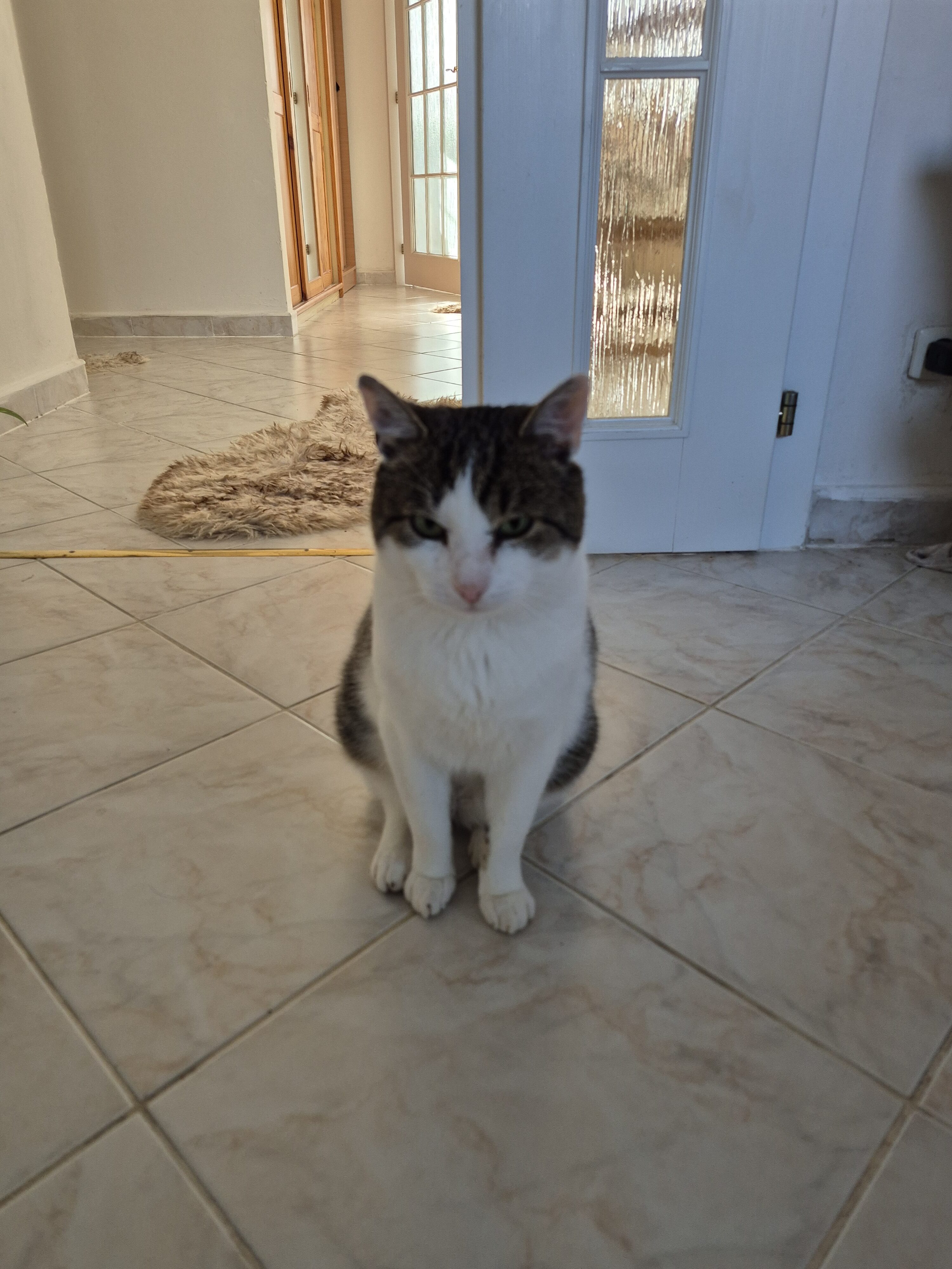 Galaxy S24 FE fotky den 19