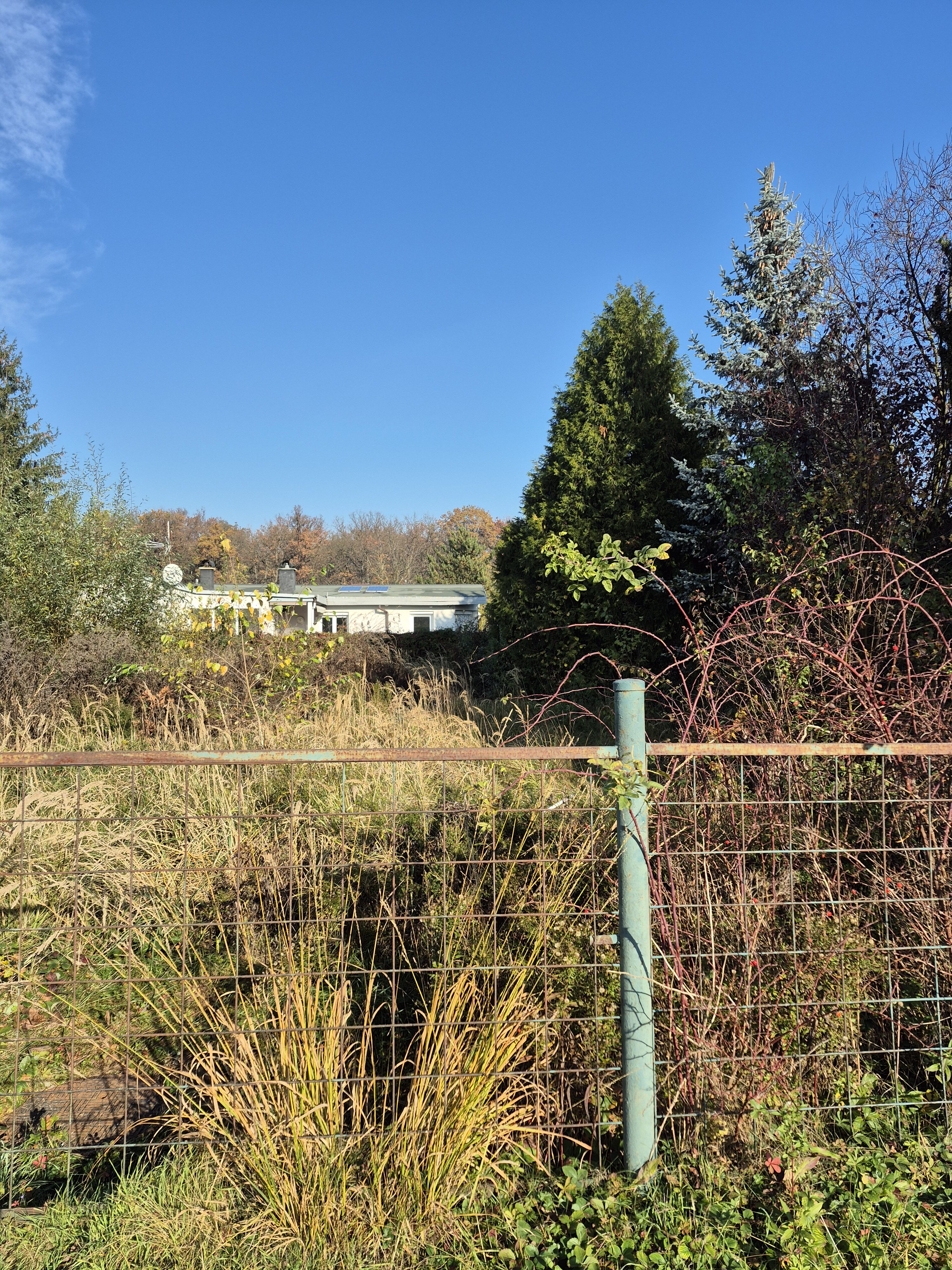 Galaxy S24 FE fotky den 2