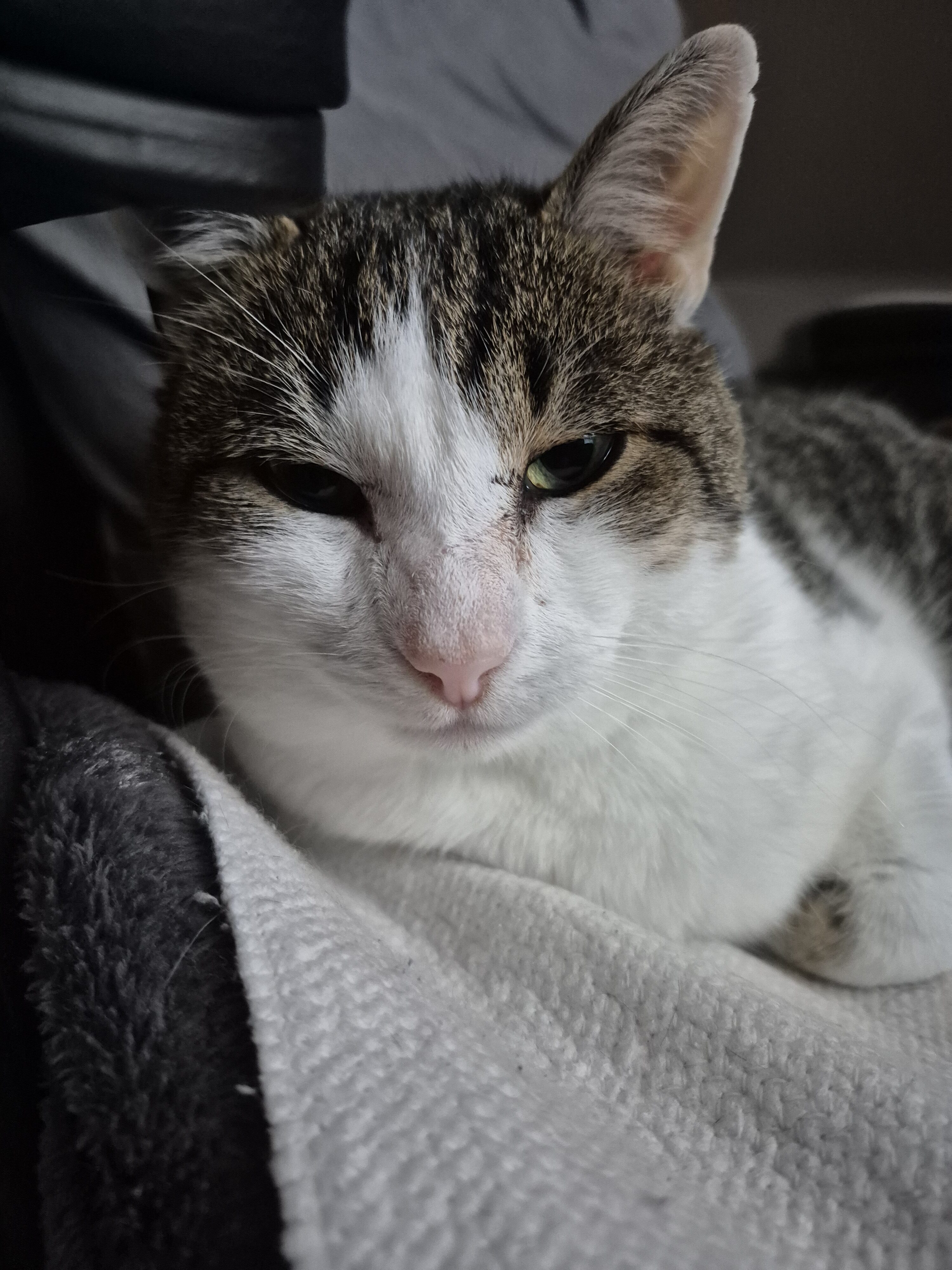 Galaxy S24 FE fotky den 24