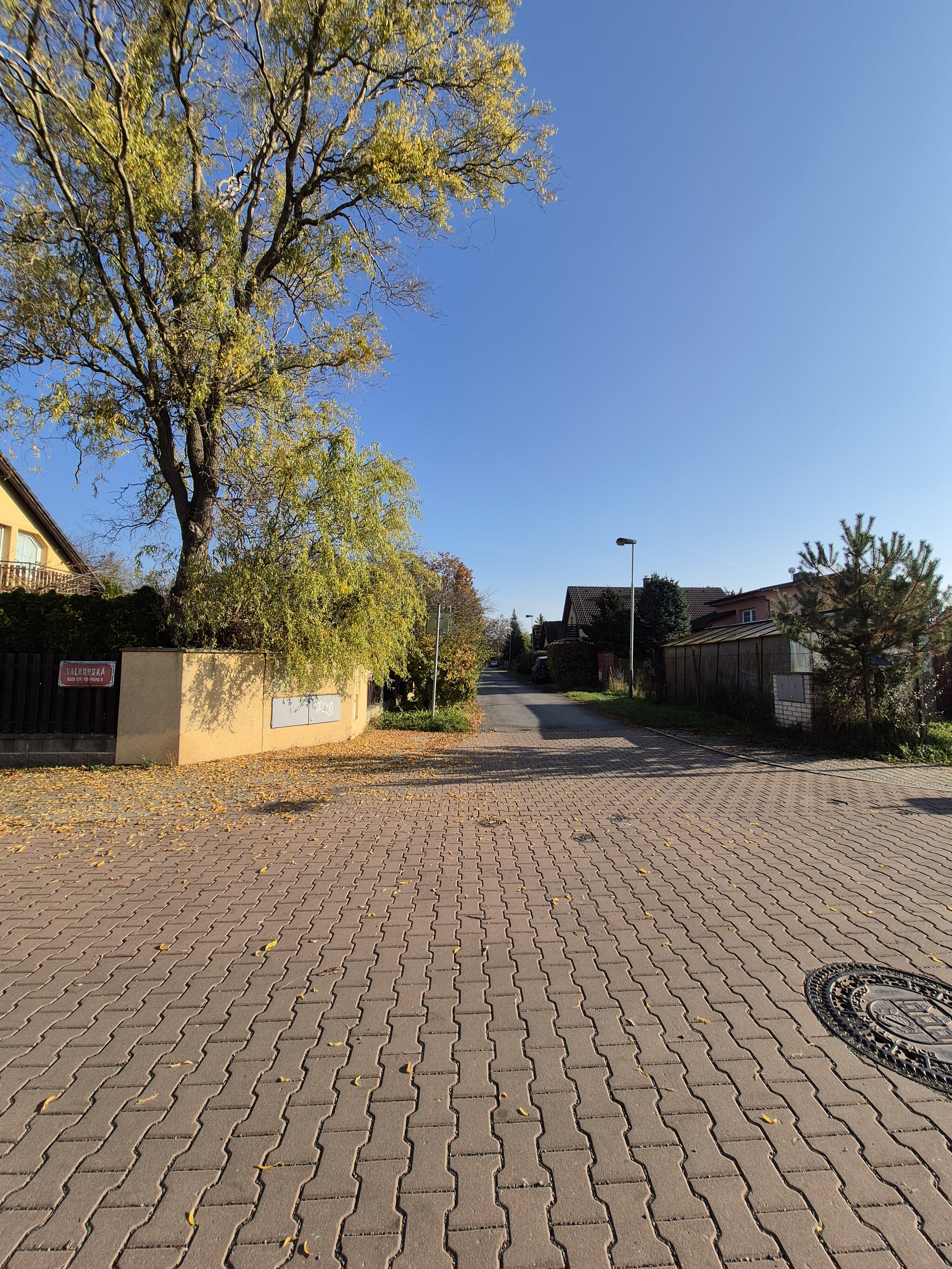 Galaxy S24 FE fotky den 41