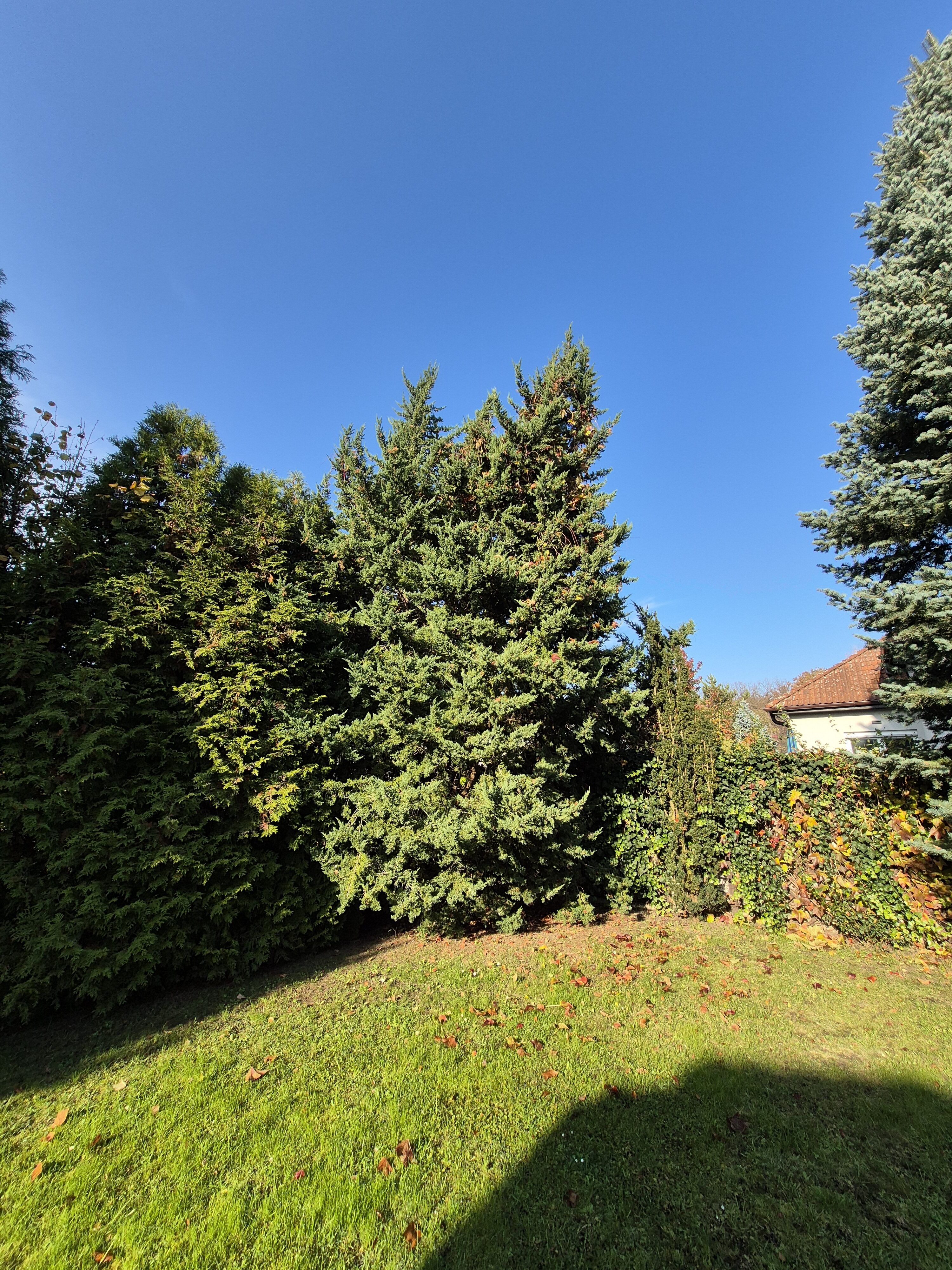 Galaxy S24 FE fotky den 43