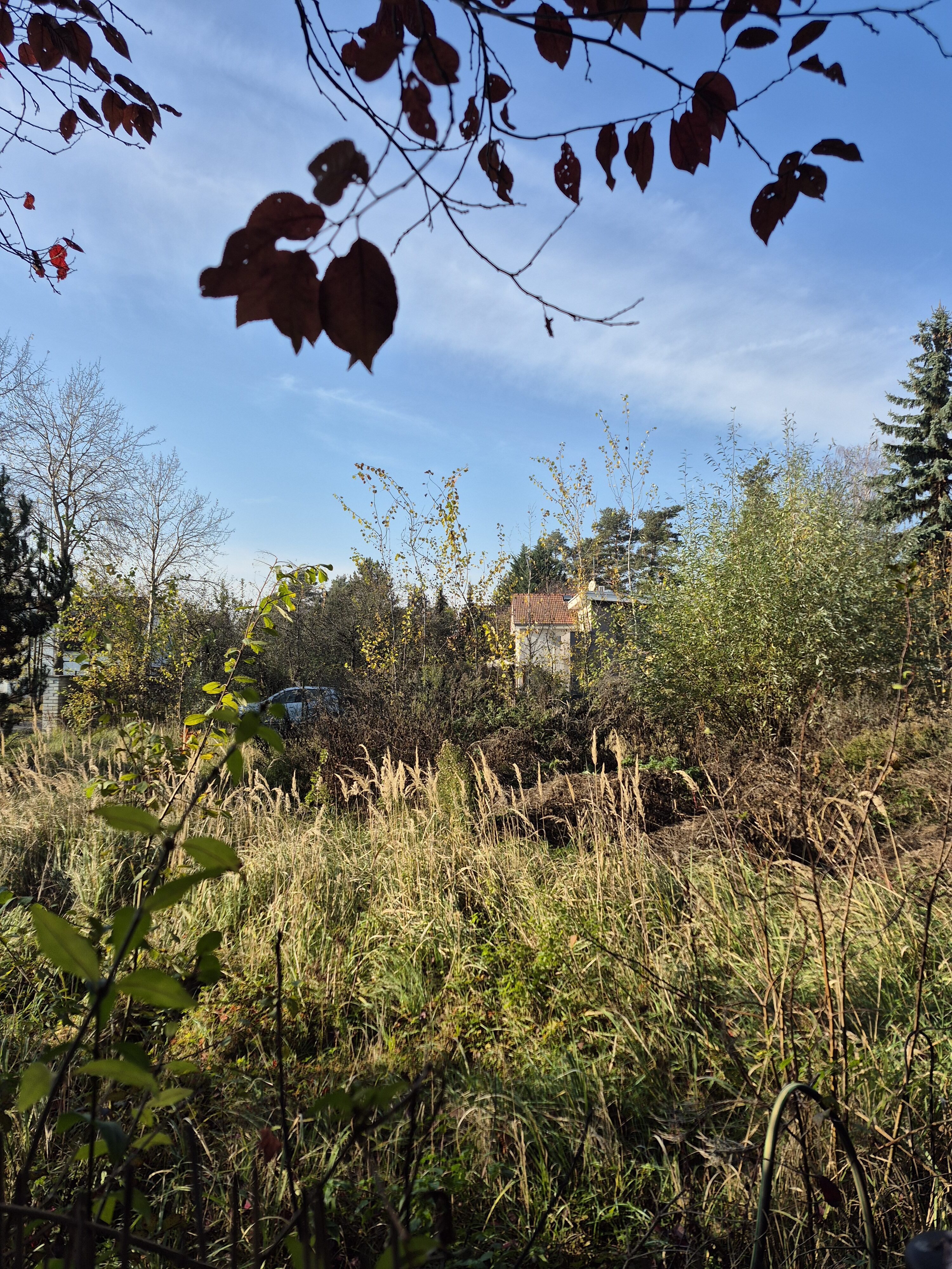 Galaxy S24 FE fotky den 44