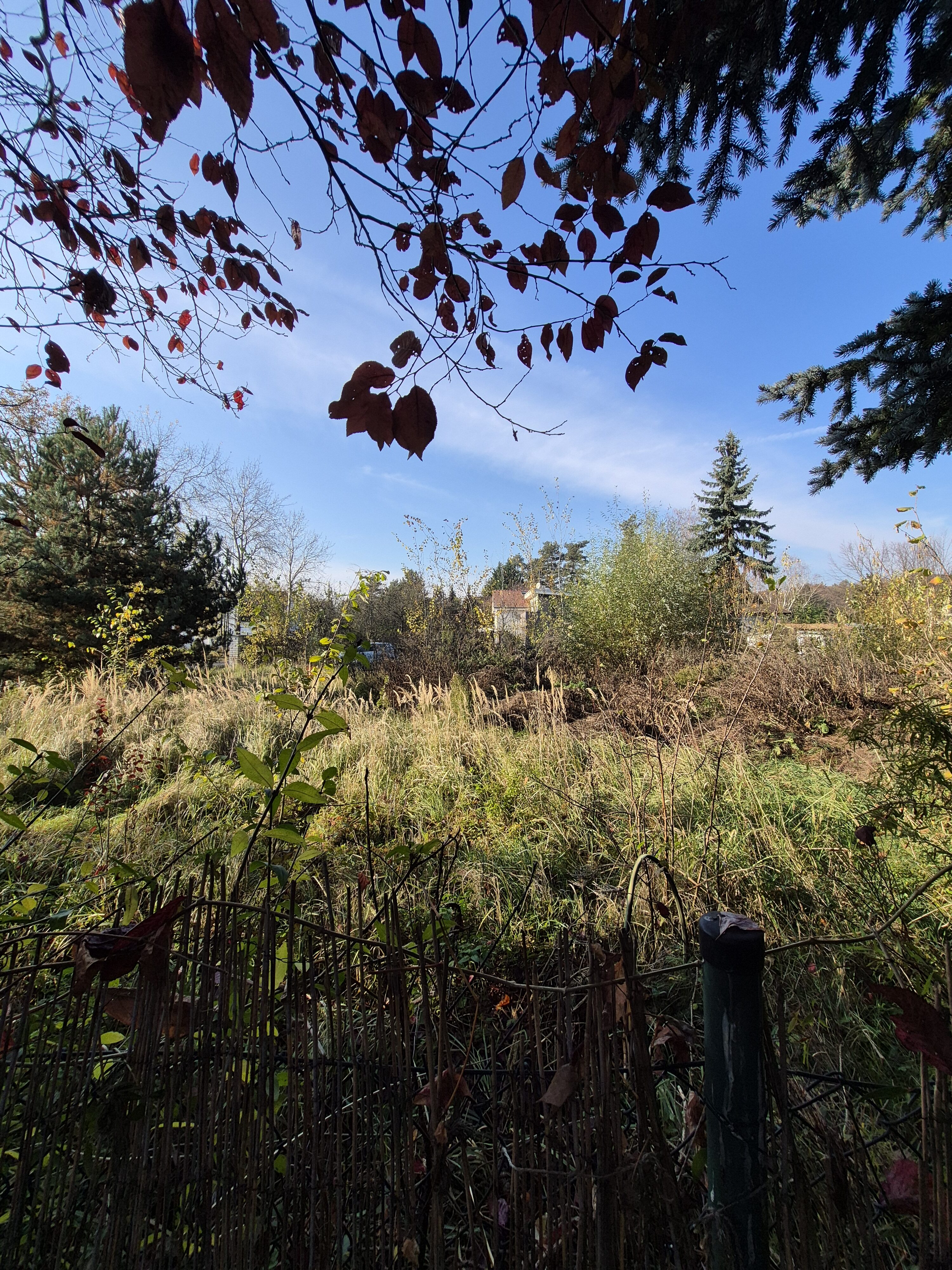 Galaxy S24 FE fotky den 45