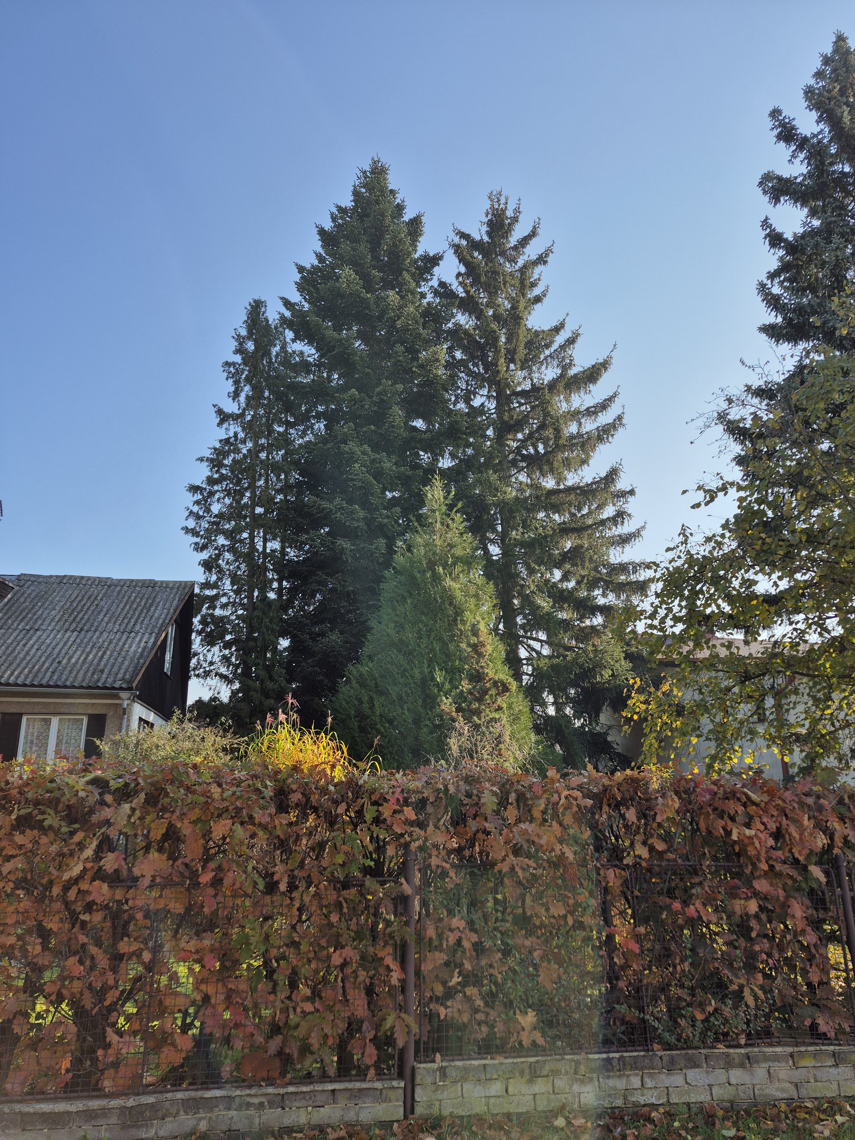 Galaxy S24 FE fotky den 6