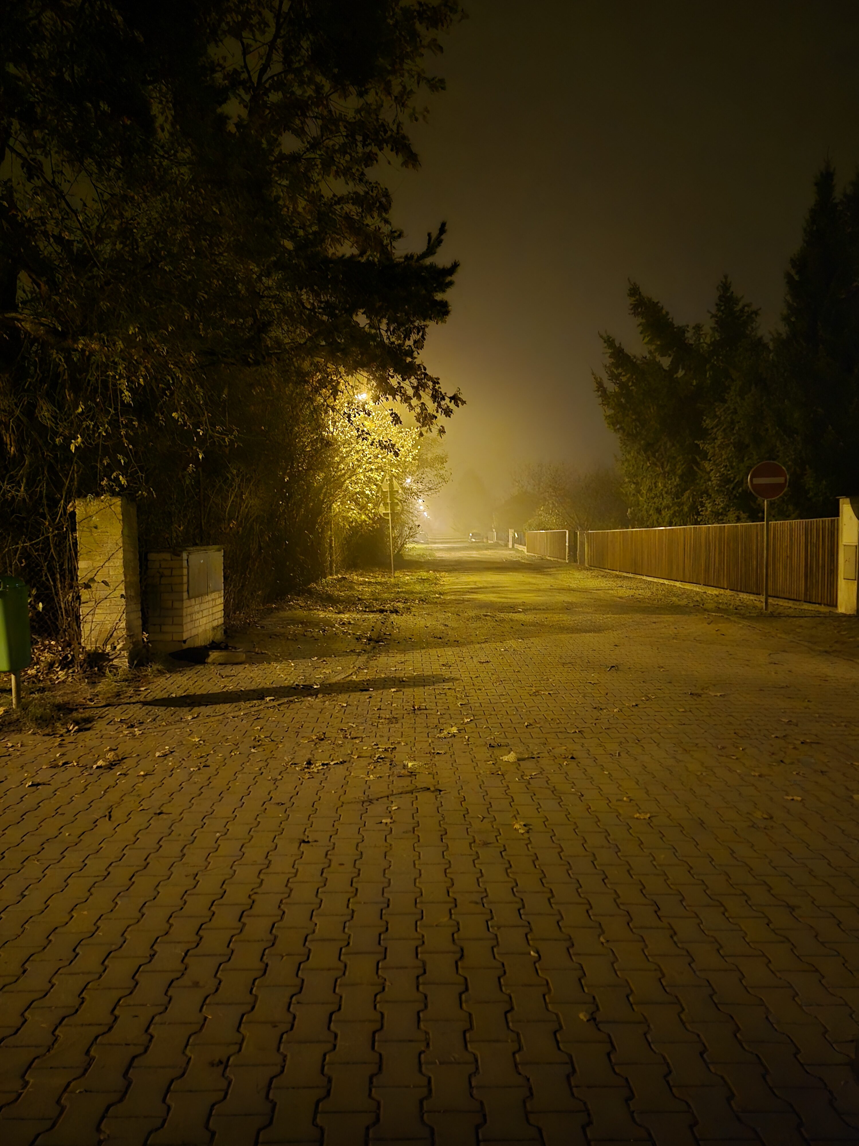 Galaxy S24 FE nocni fotky 1