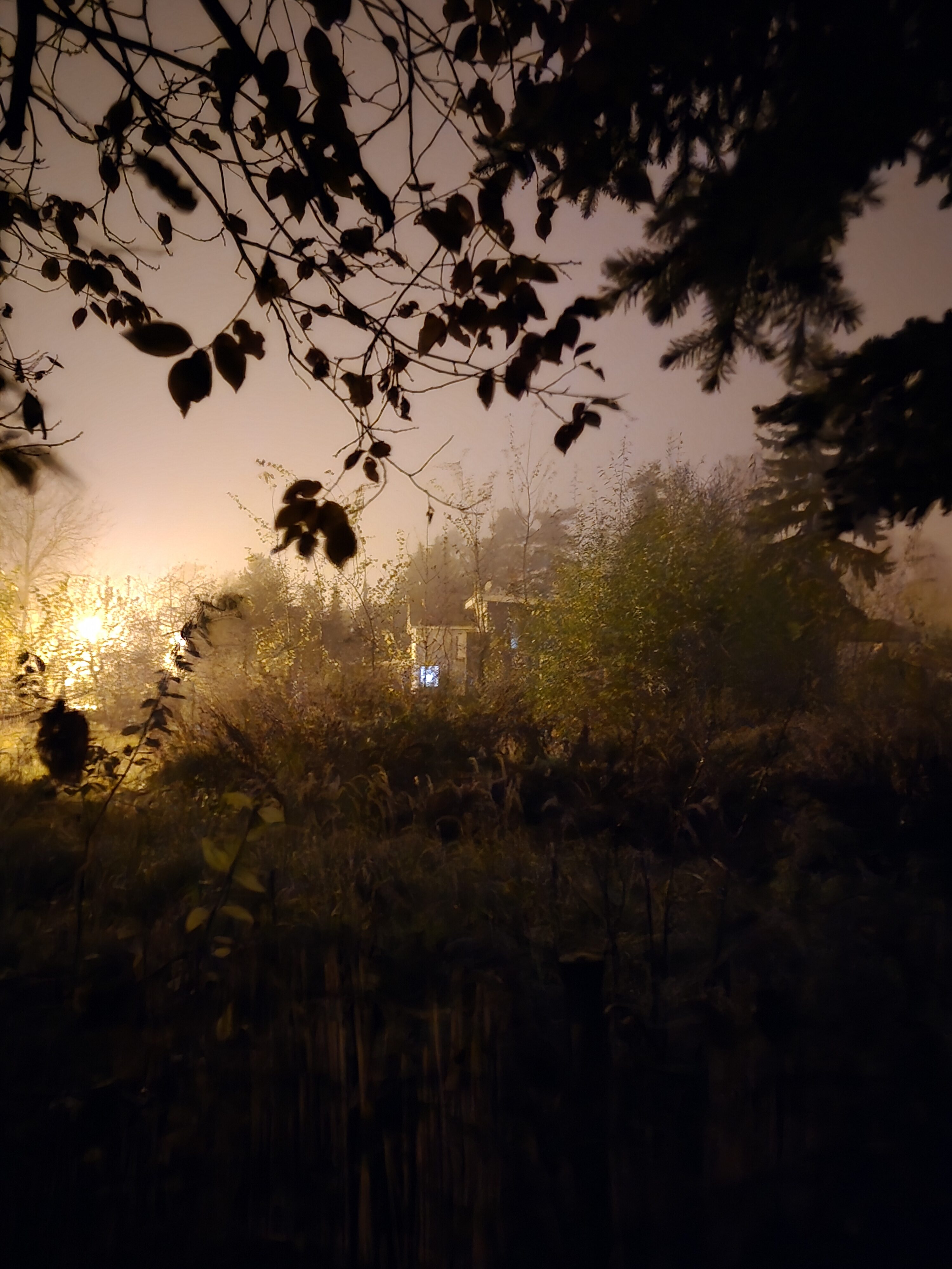 Galaxy S24 FE nocni fotky 10