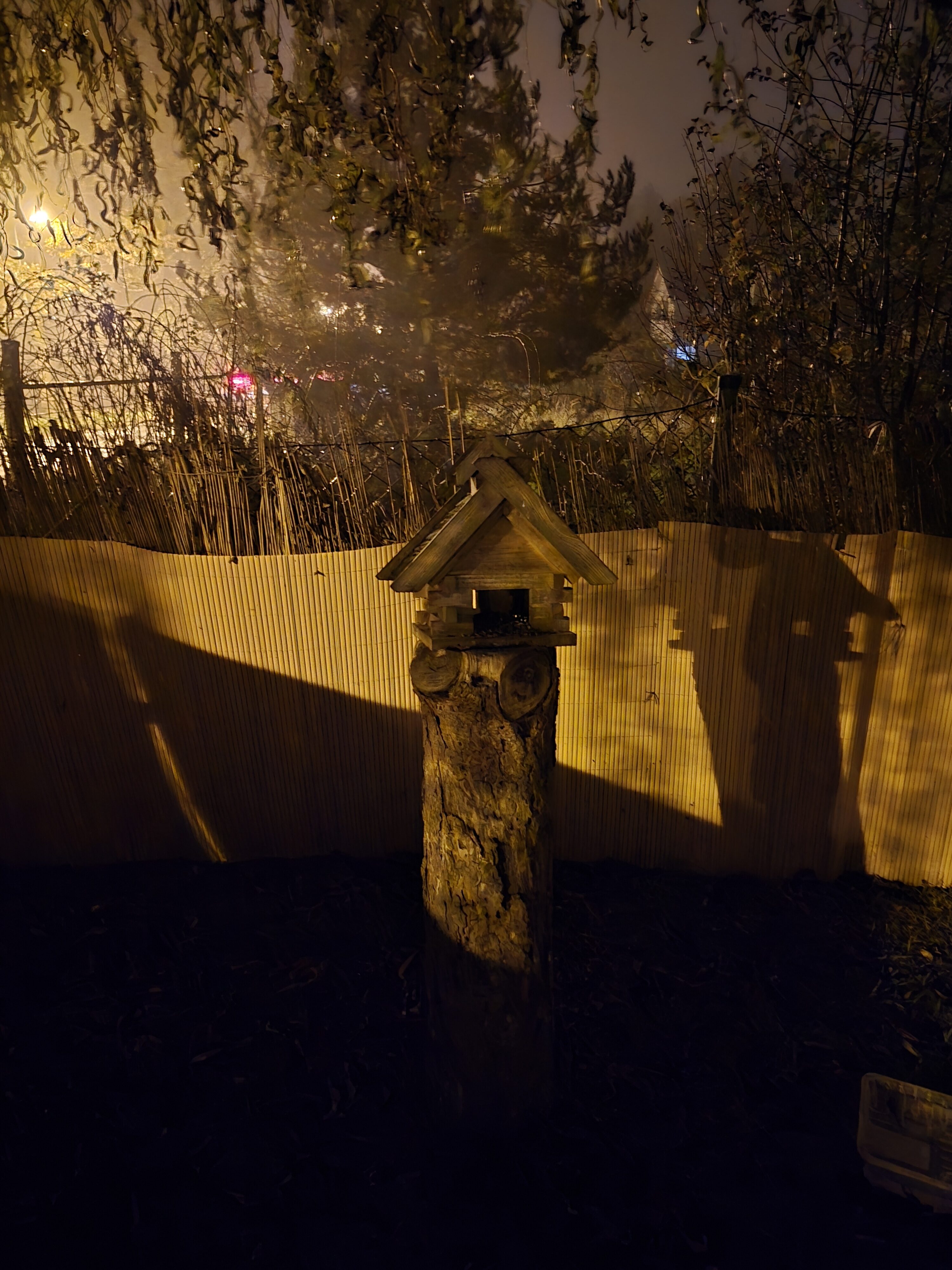 Galaxy S24 FE nocni fotky 12