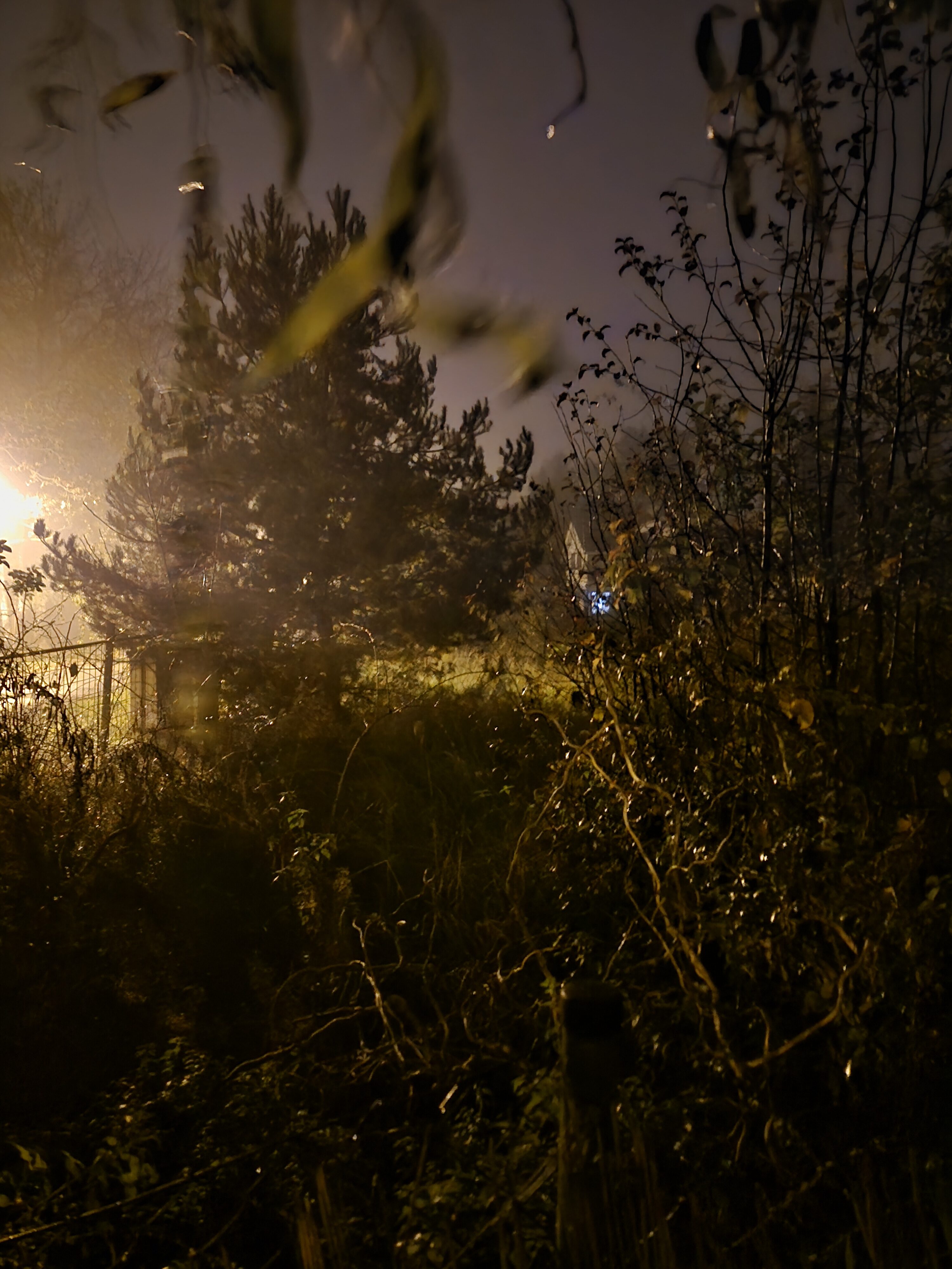 Galaxy S24 FE nocni fotky 13