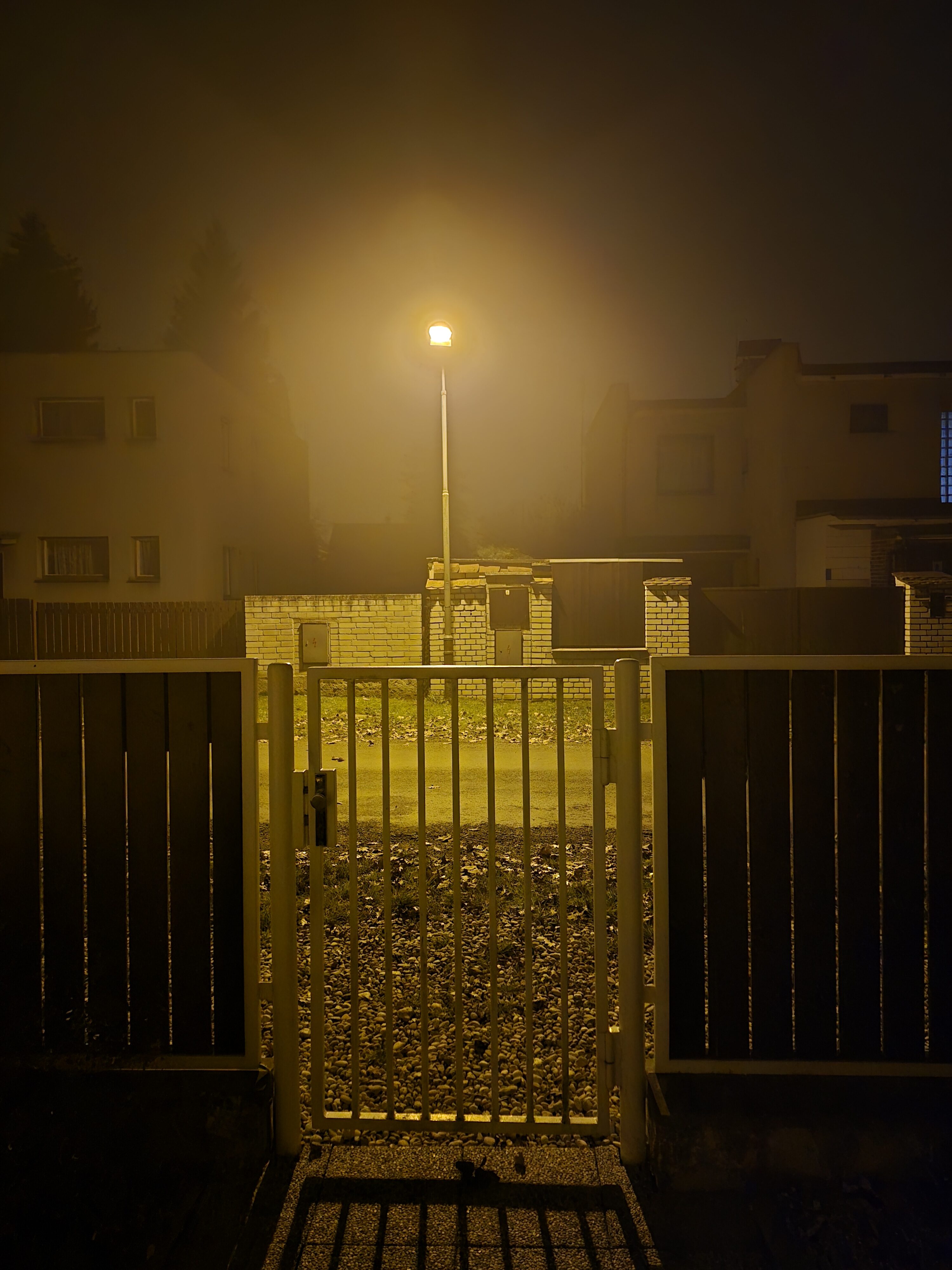 Galaxy S24 FE nocni fotky 14