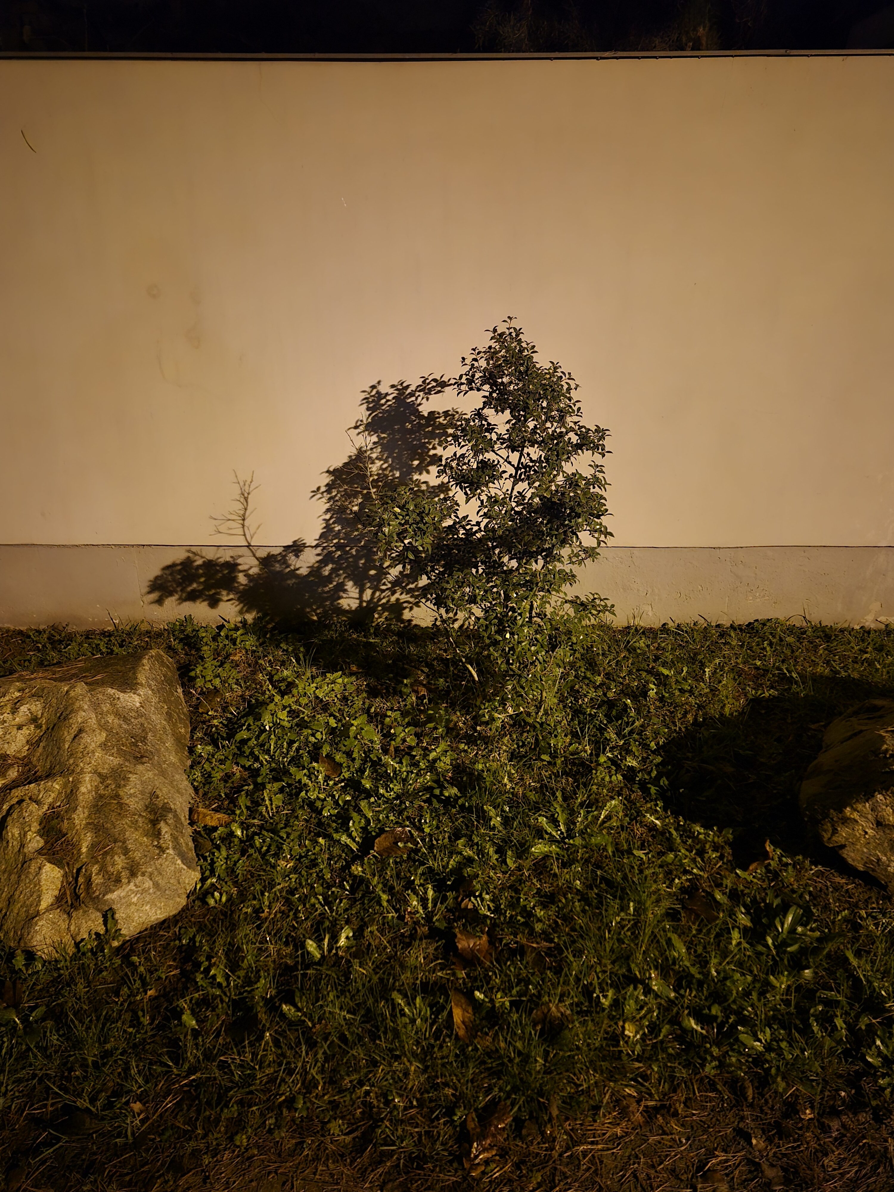 Galaxy S24 FE nocni fotky 21