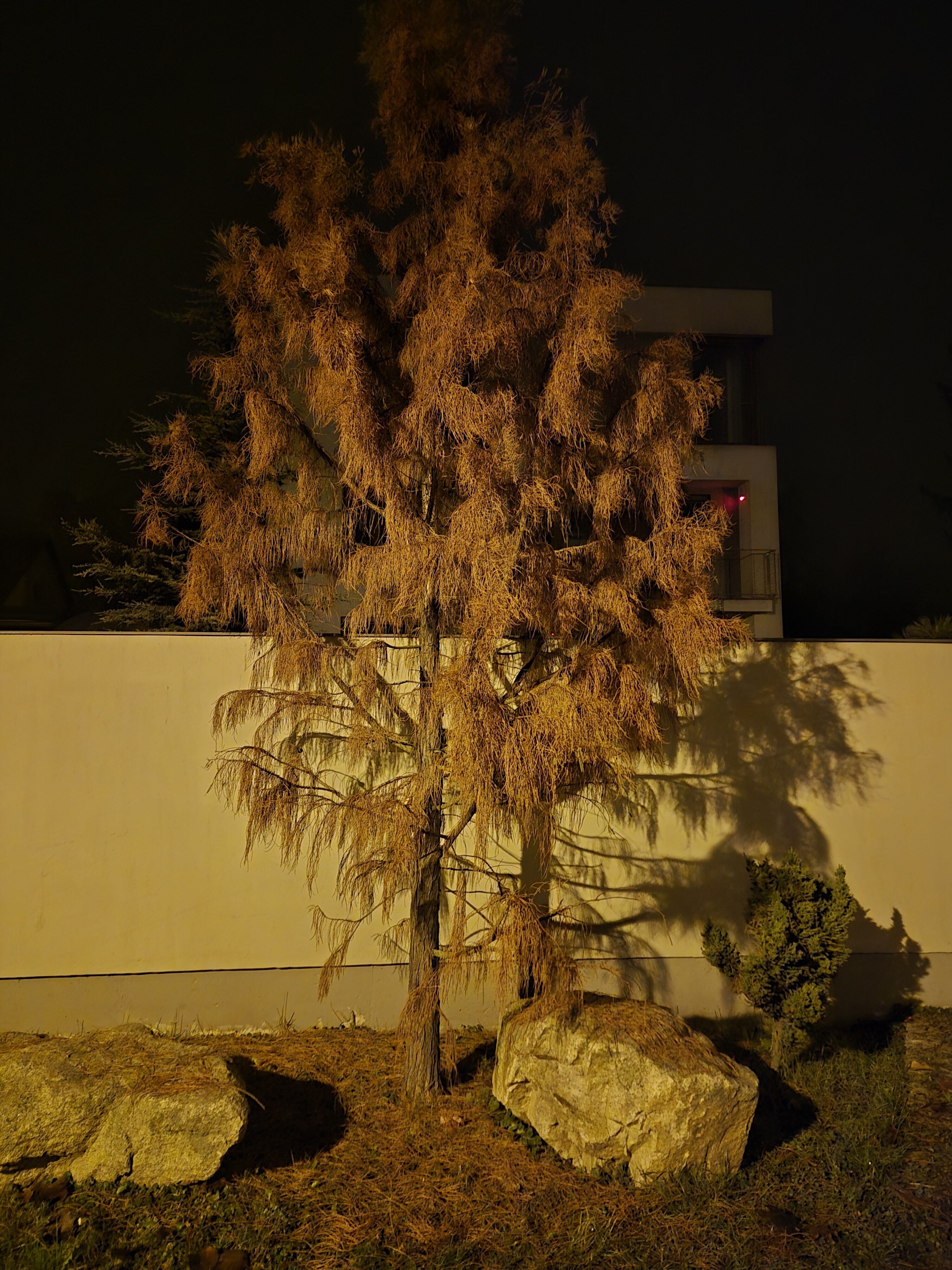 Galaxy S24 FE nocni fotky 22