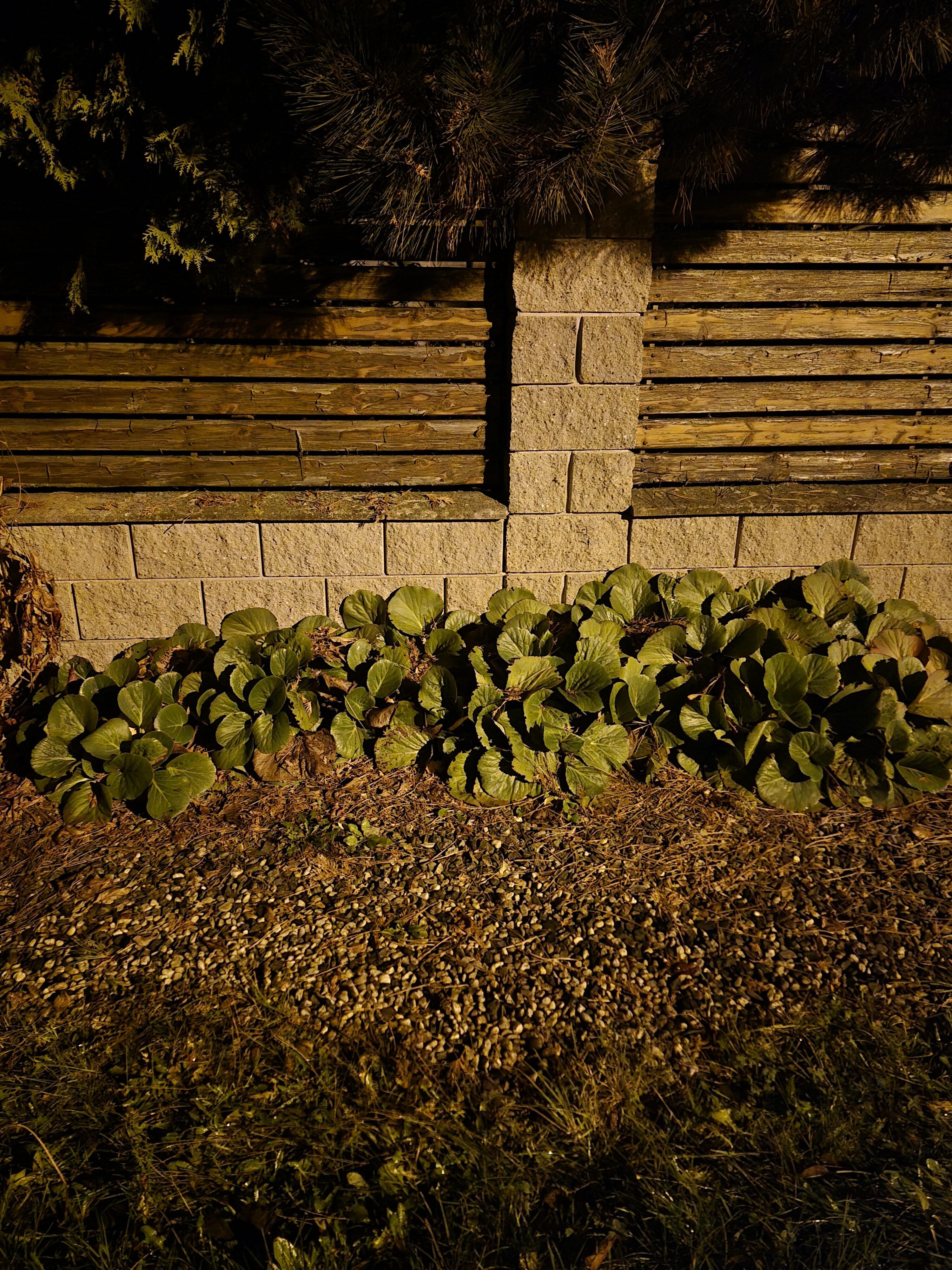 Galaxy S24 FE nocni fotky 23