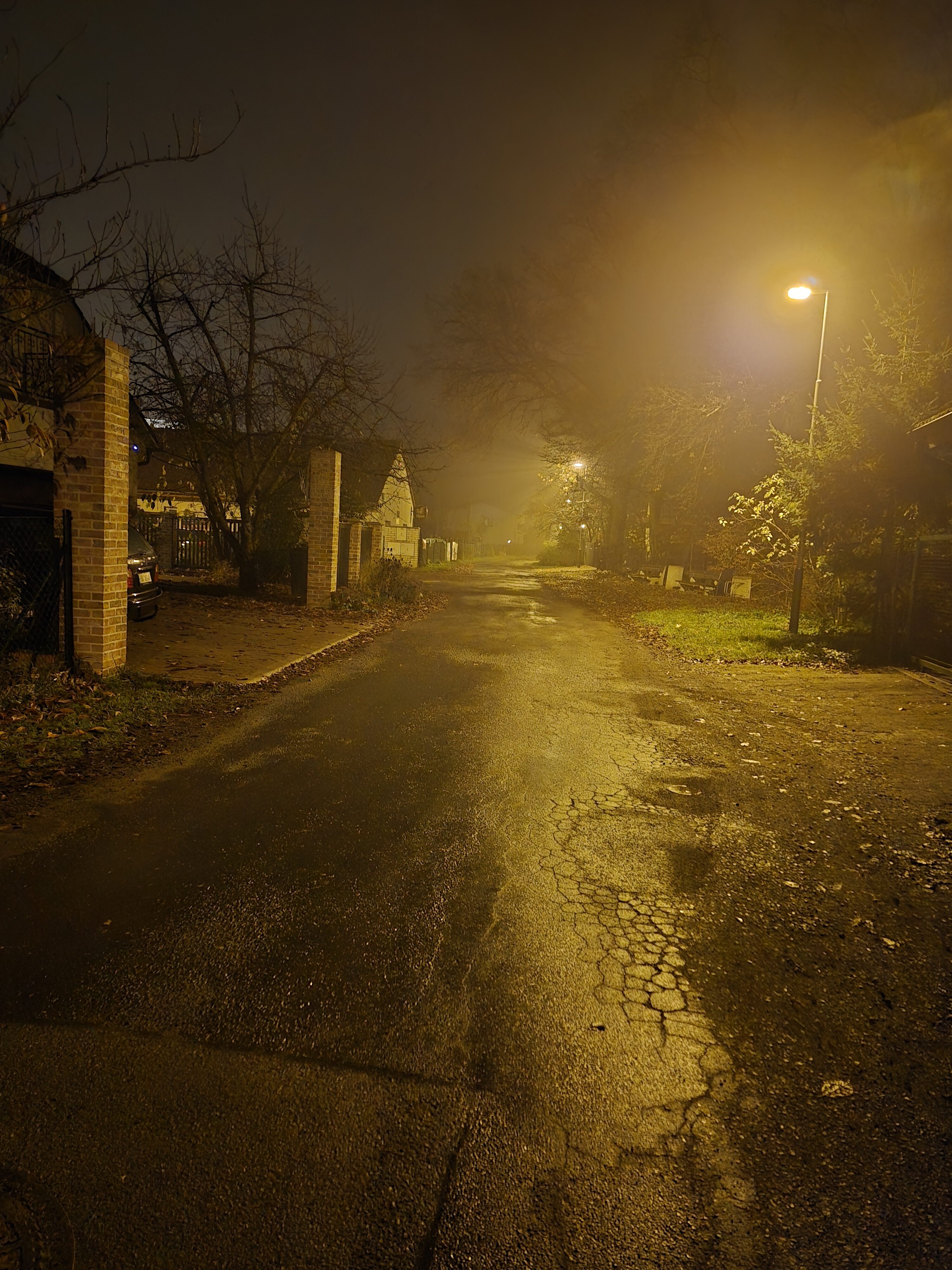 Galaxy S24 FE nocni fotky 24