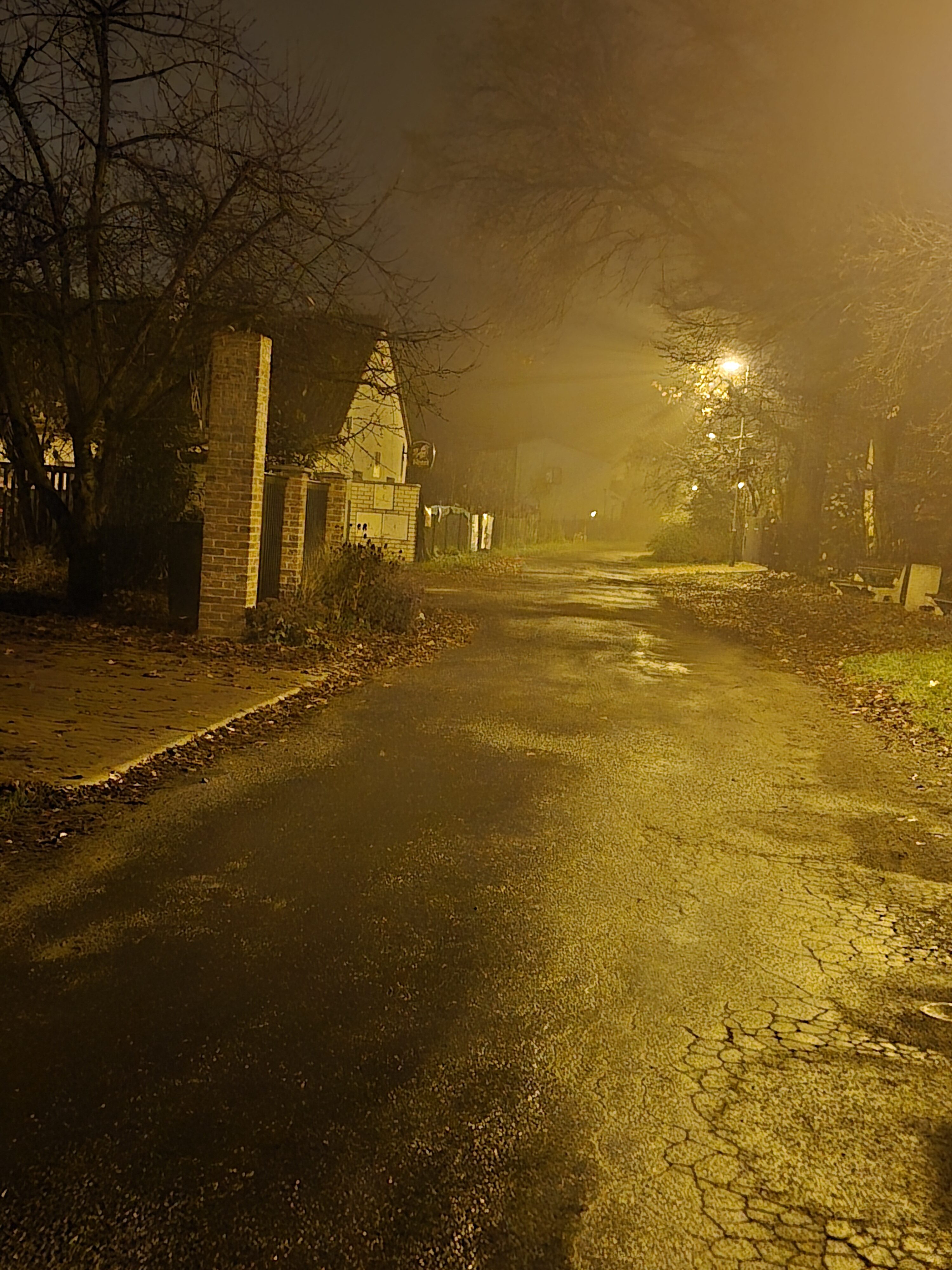 Galaxy S24 FE nocni fotky 25