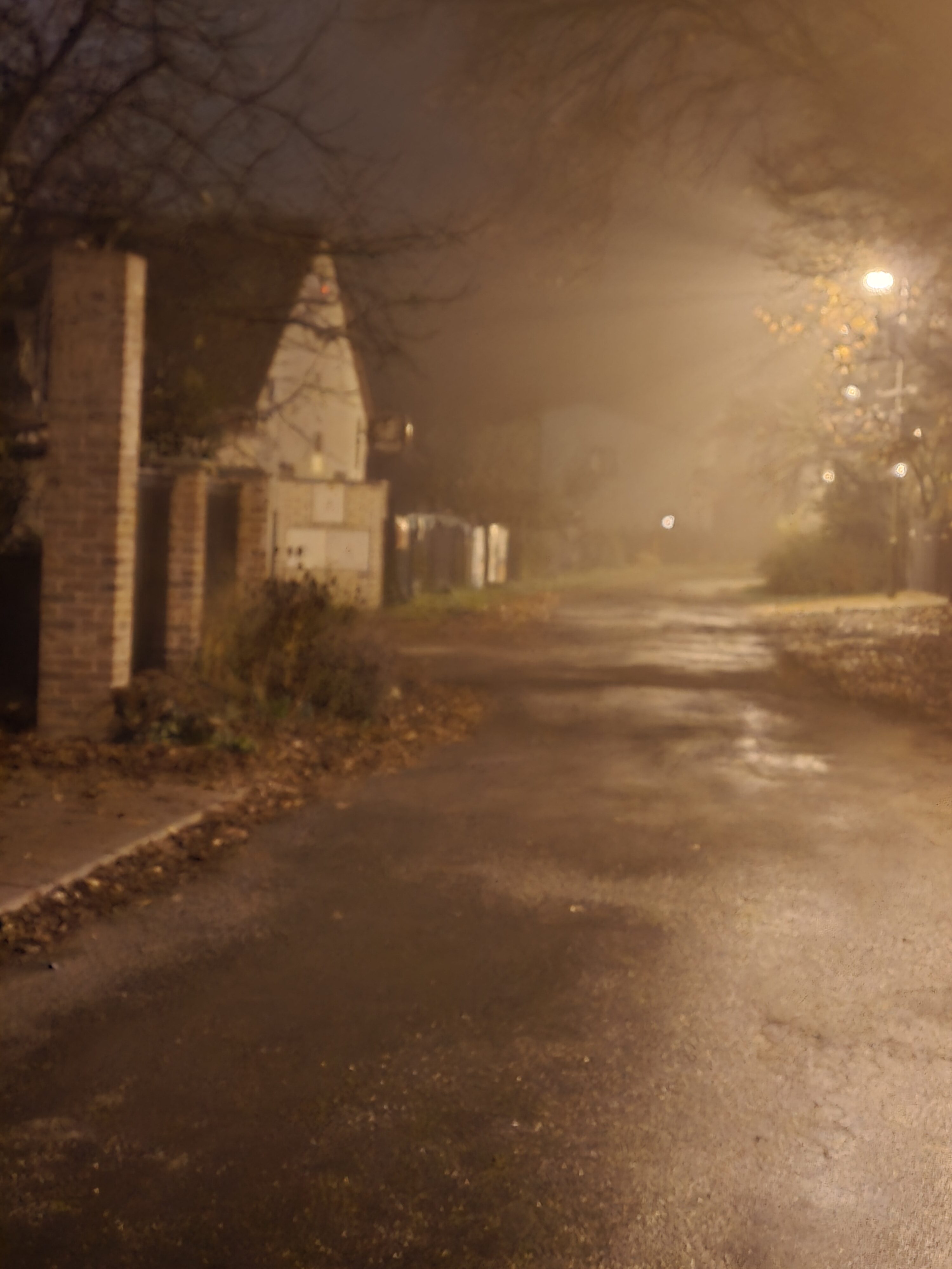 Galaxy S24 FE nocni fotky 26