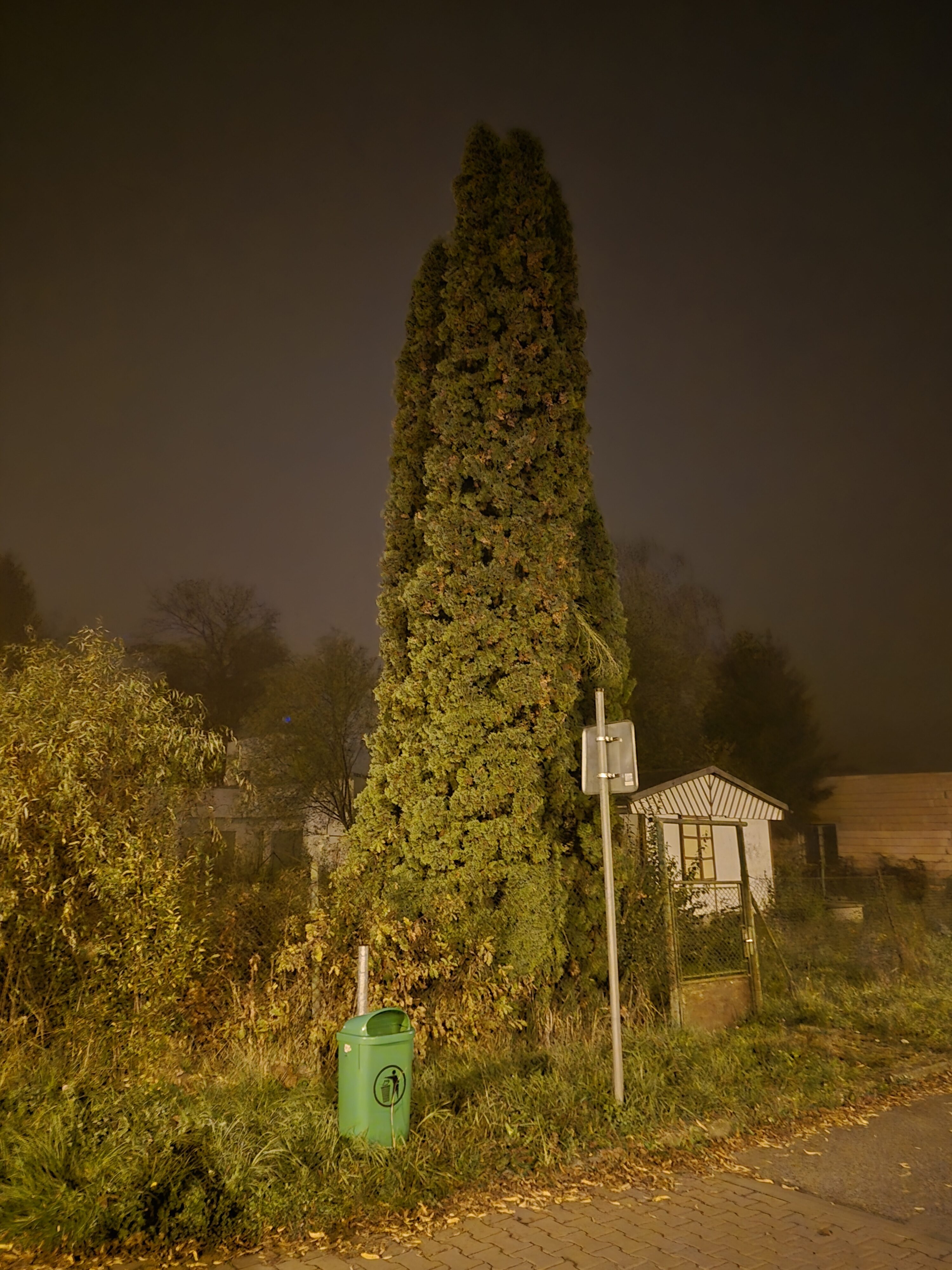 Galaxy S24 FE nocni fotky 3