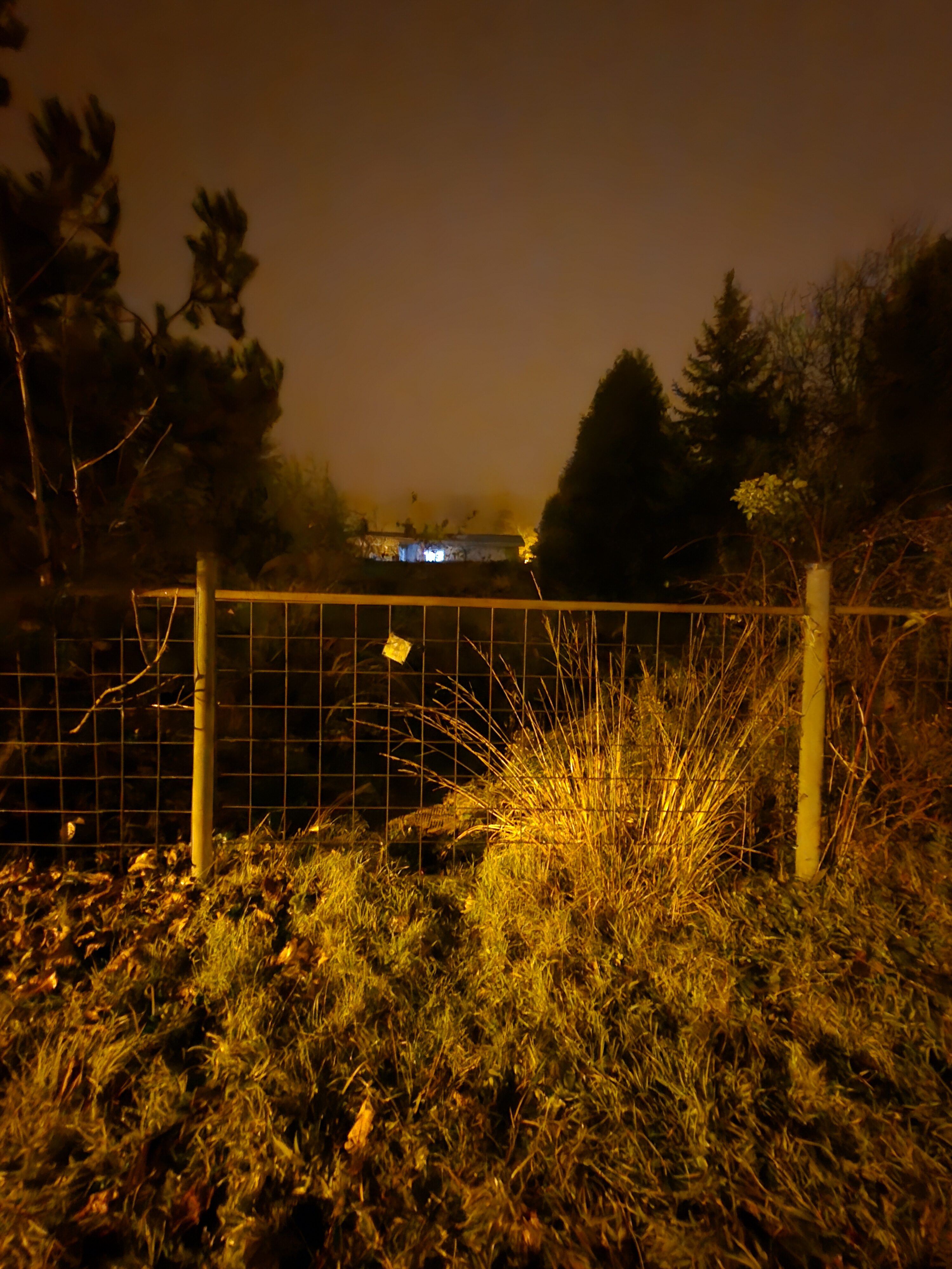 Galaxy S24 FE nocni fotky 30