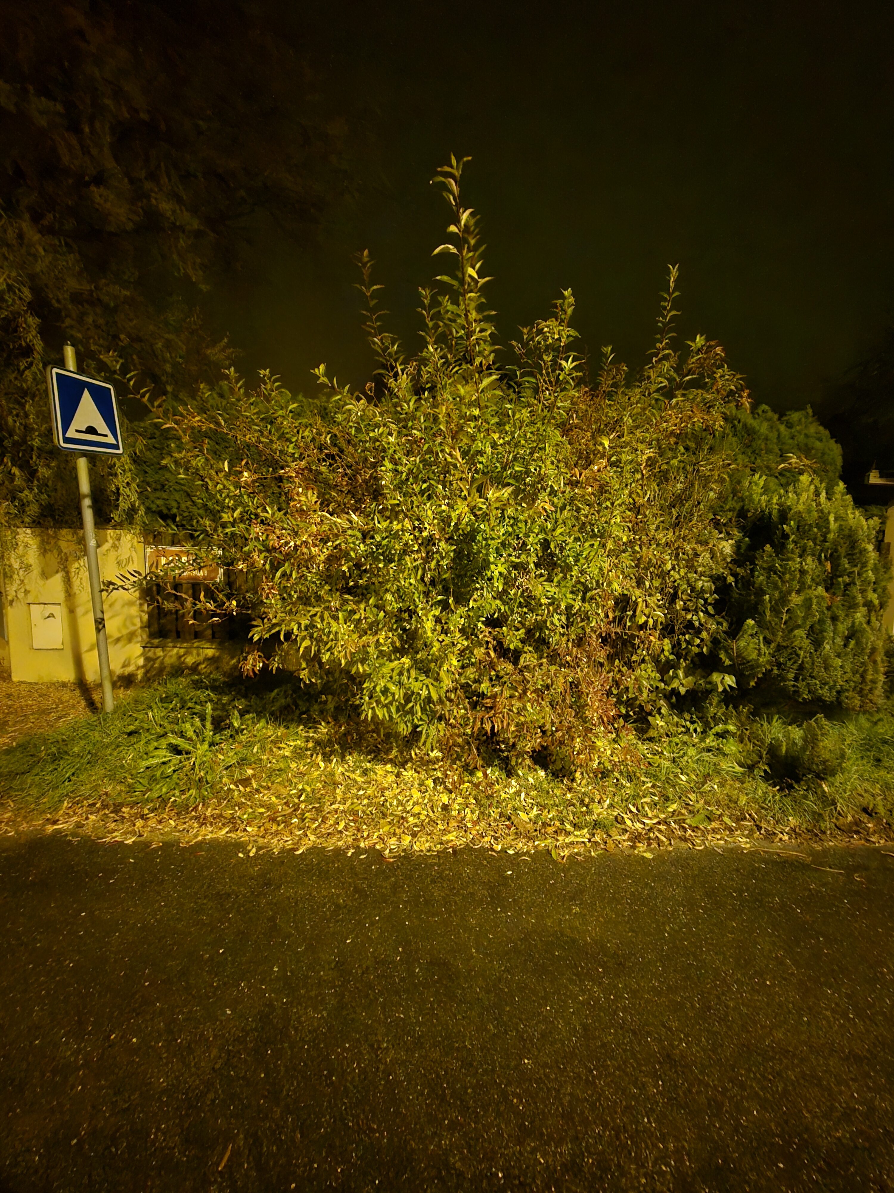 Galaxy S24 FE nocni fotky 33