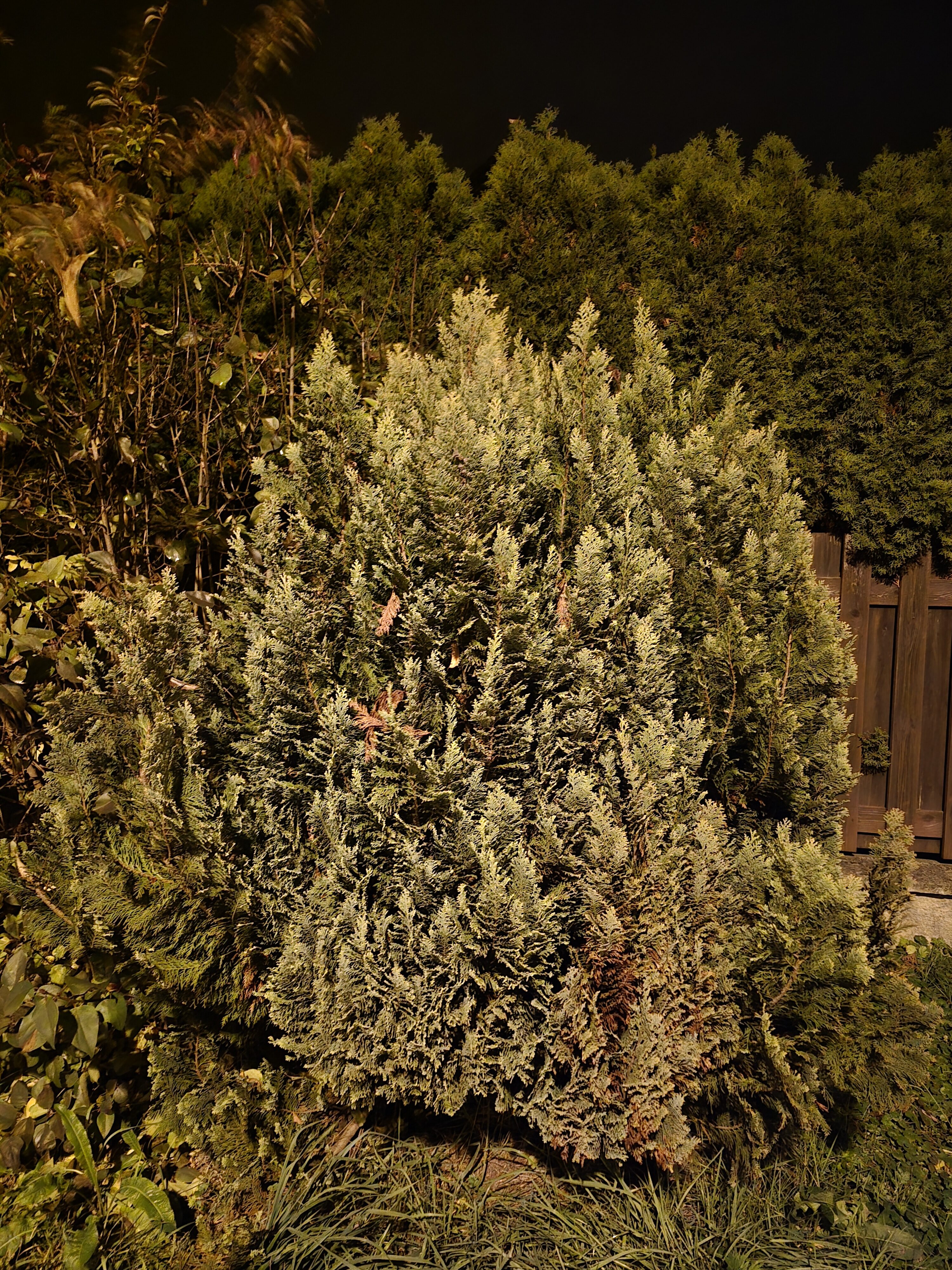 Galaxy S24 FE nocni fotky 4