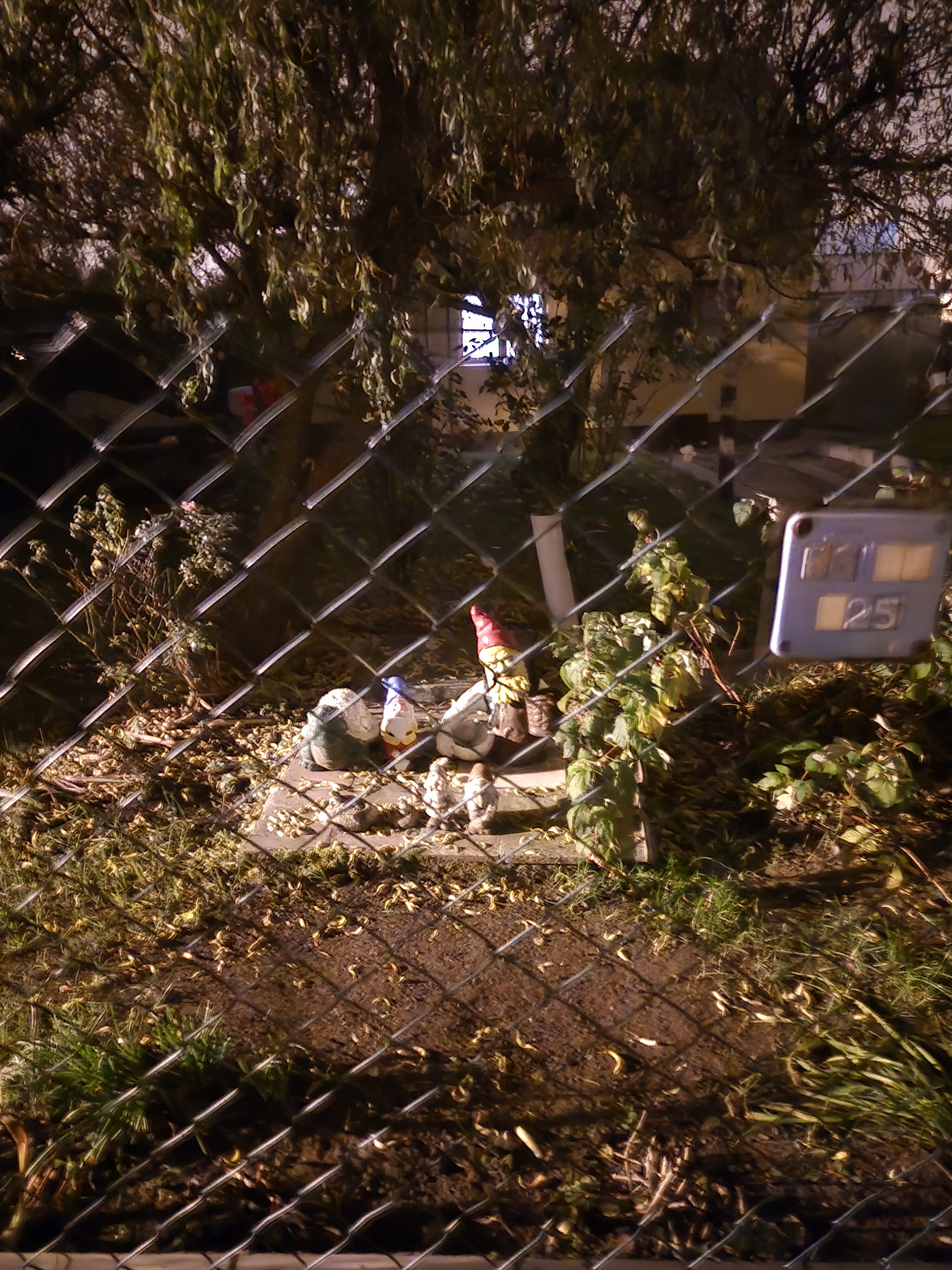 Galaxy S24 FE nocni fotky 5