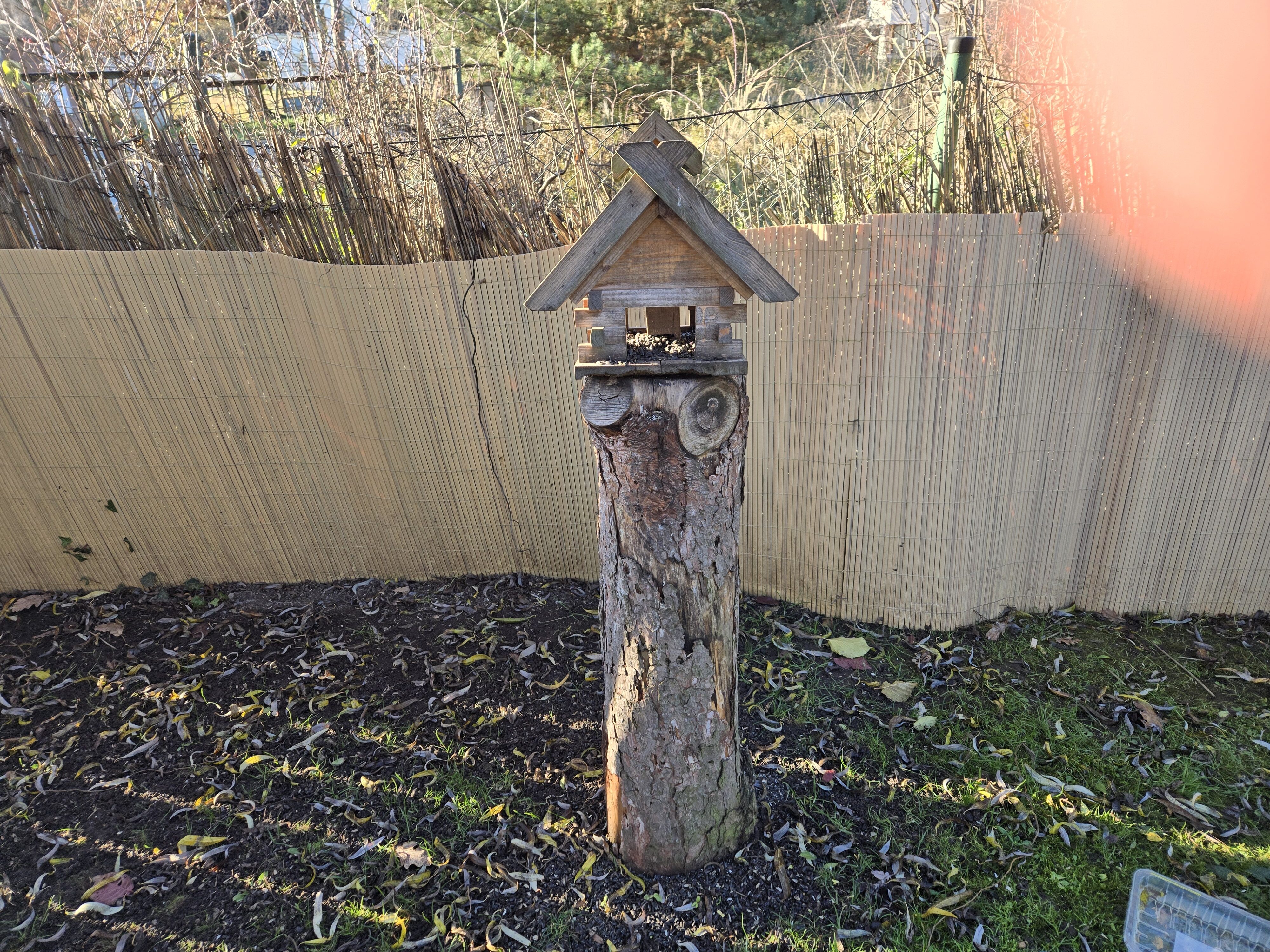 Galaxy_Z_Fold6_denni_fotka_1 Galaxy Z Fold6 denni fotka 1