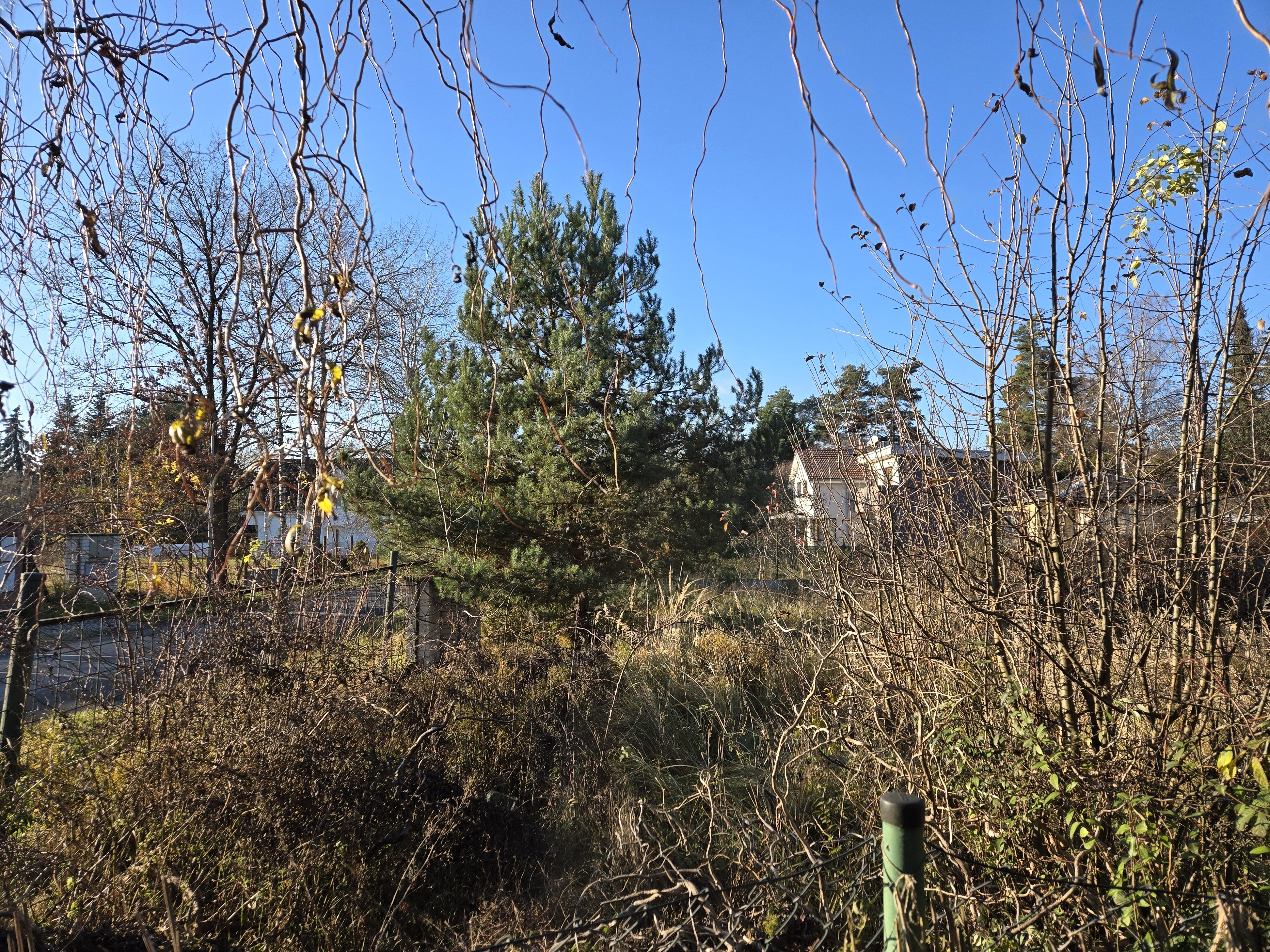 Galaxy_Z_Fold6_denni_fotka_2 Galaxy Z Fold6 denni fotka 2