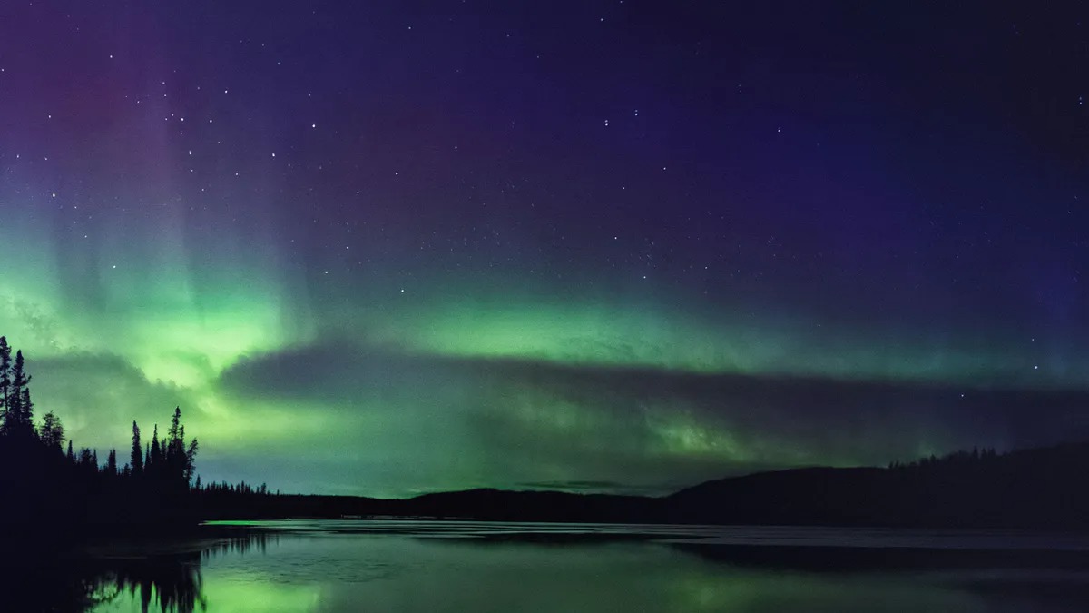 Vyhledavaci trendy Google 2024 cover