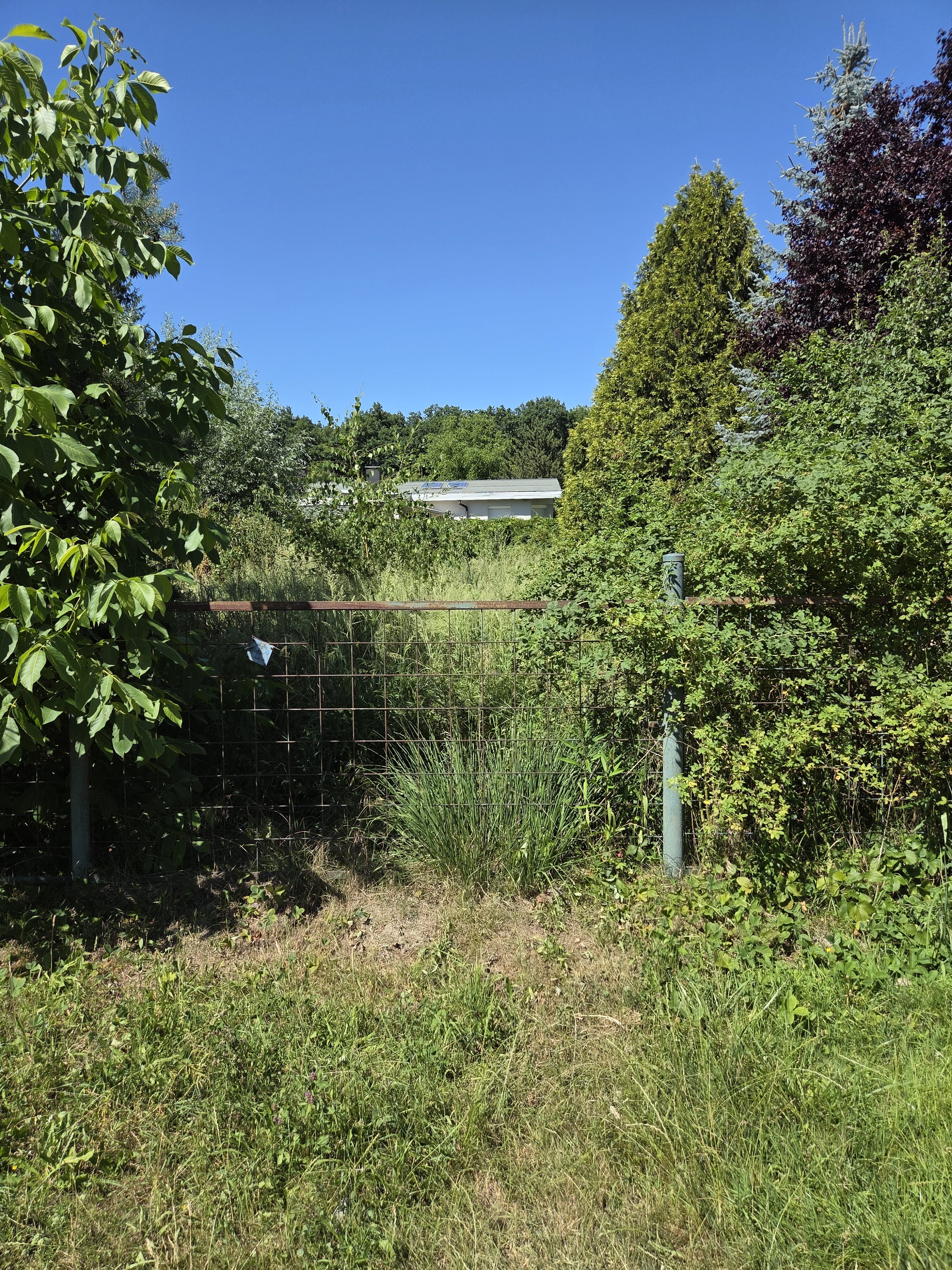 Galaxy S25 Plus denni fotka 1