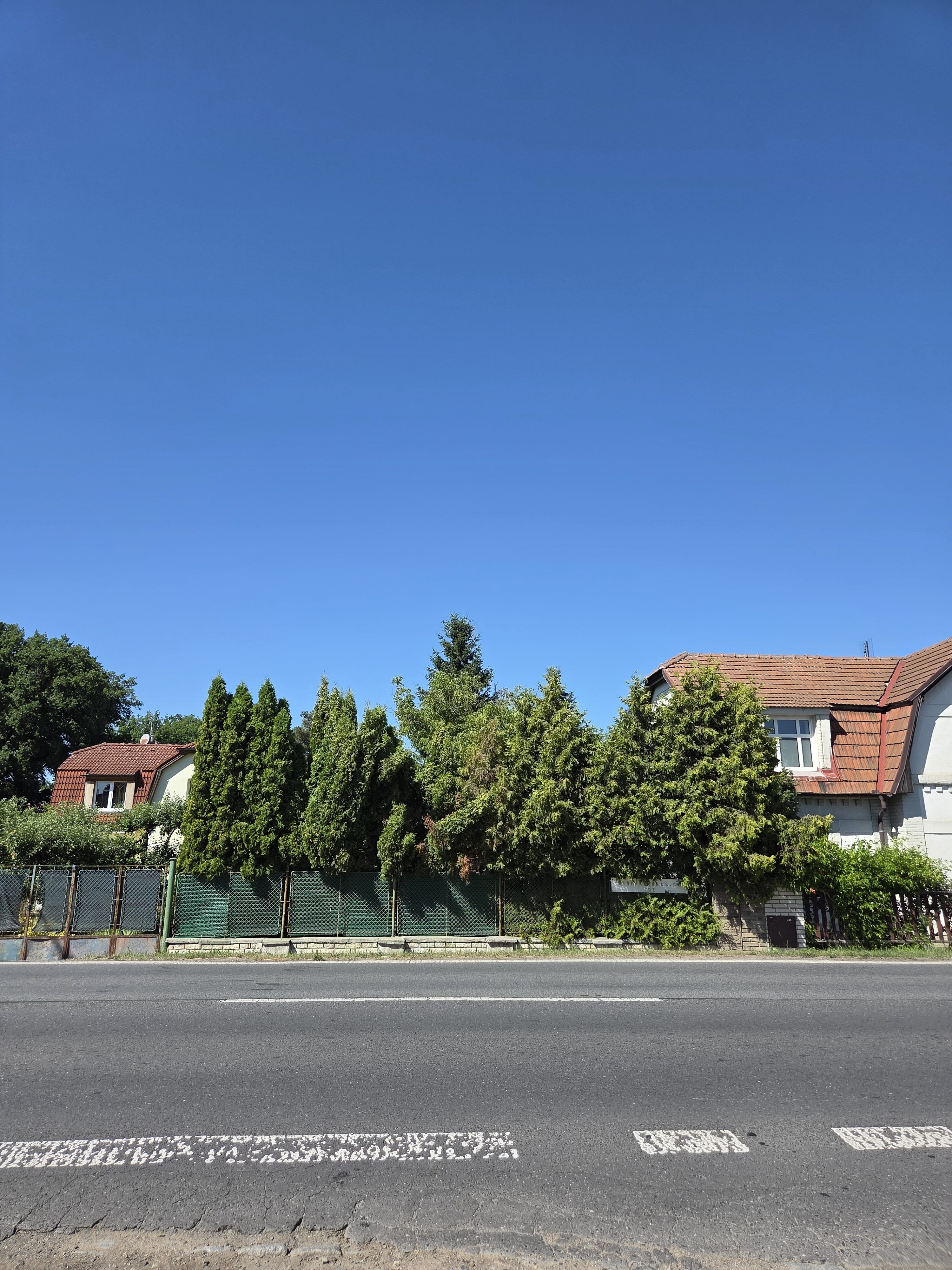 Galaxy S25 Plus denni fotka 10