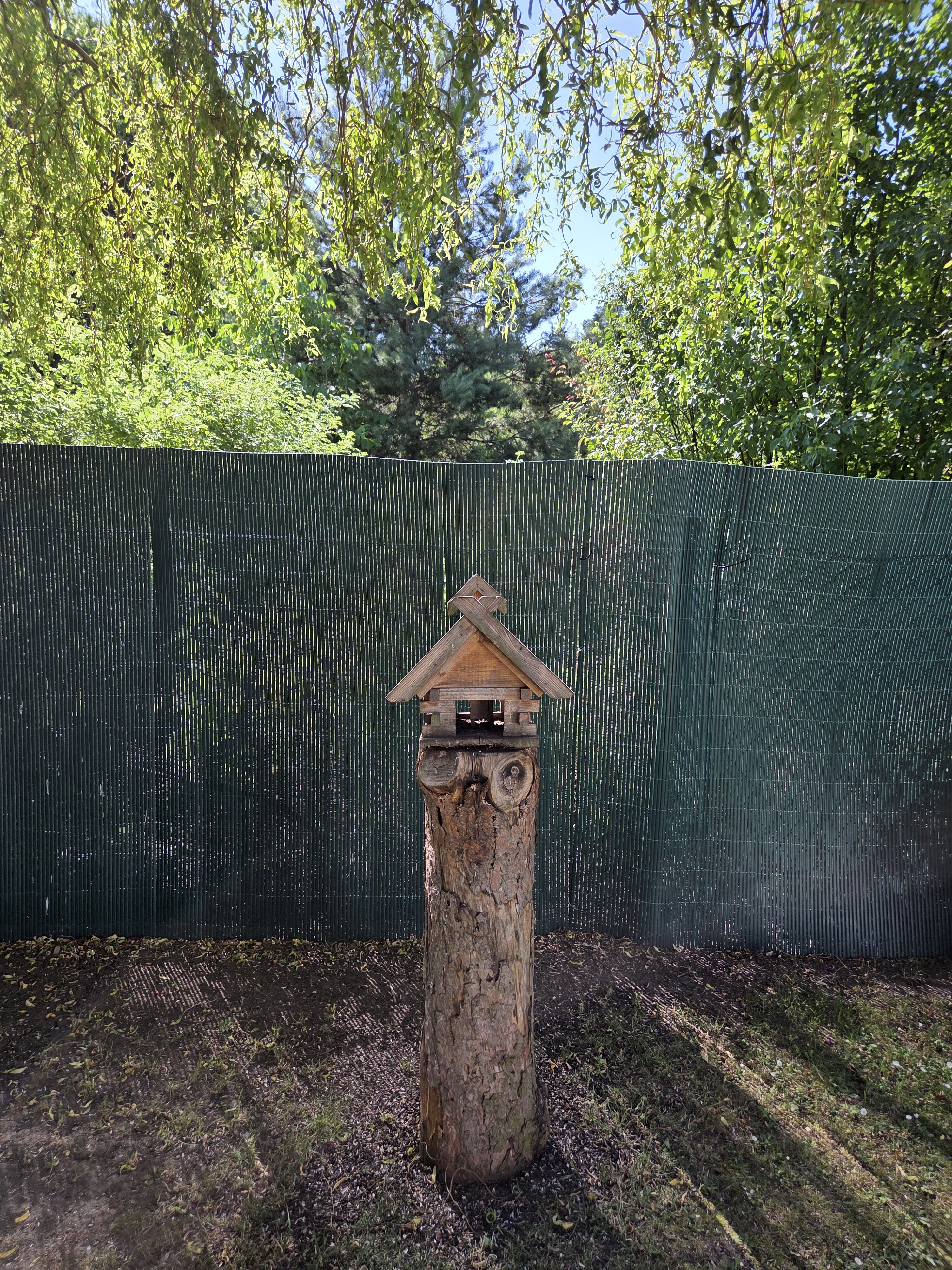 Galaxy S25 Plus denni fotka 19