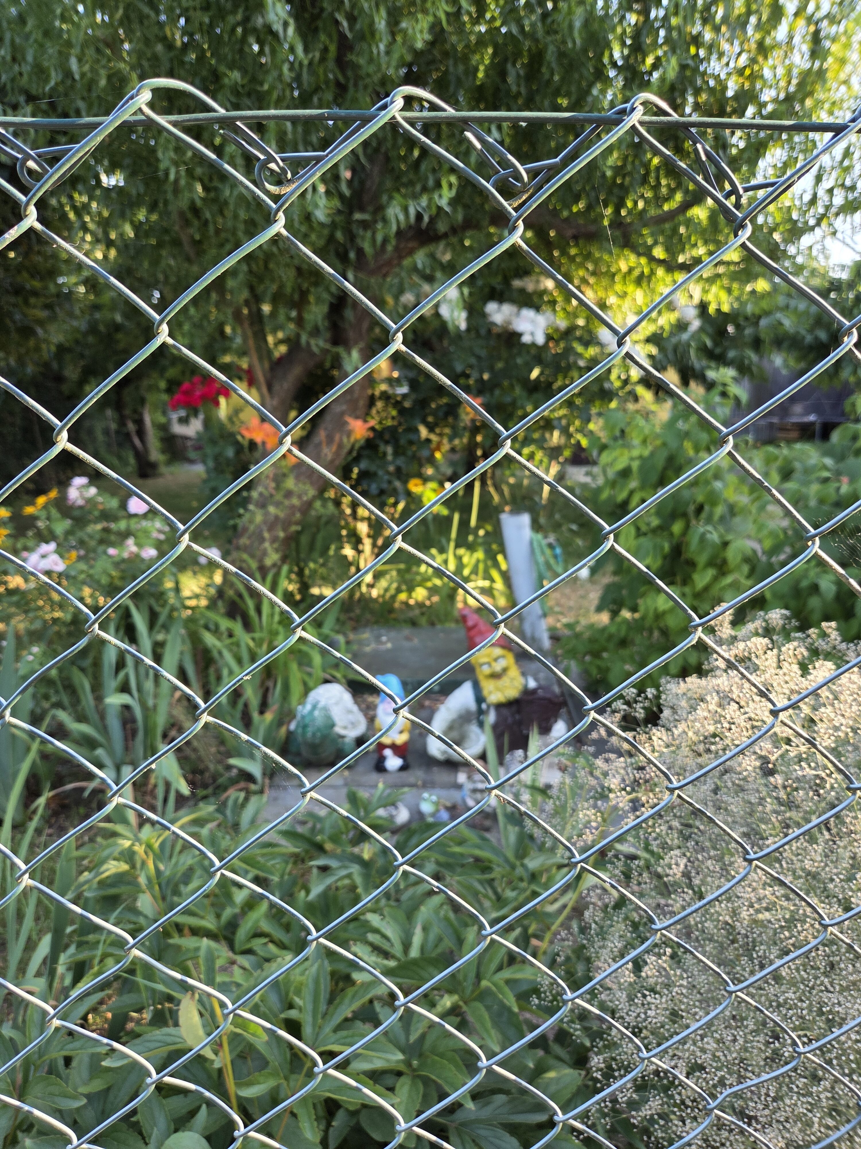 Galaxy S25 Plus denni fotka 23