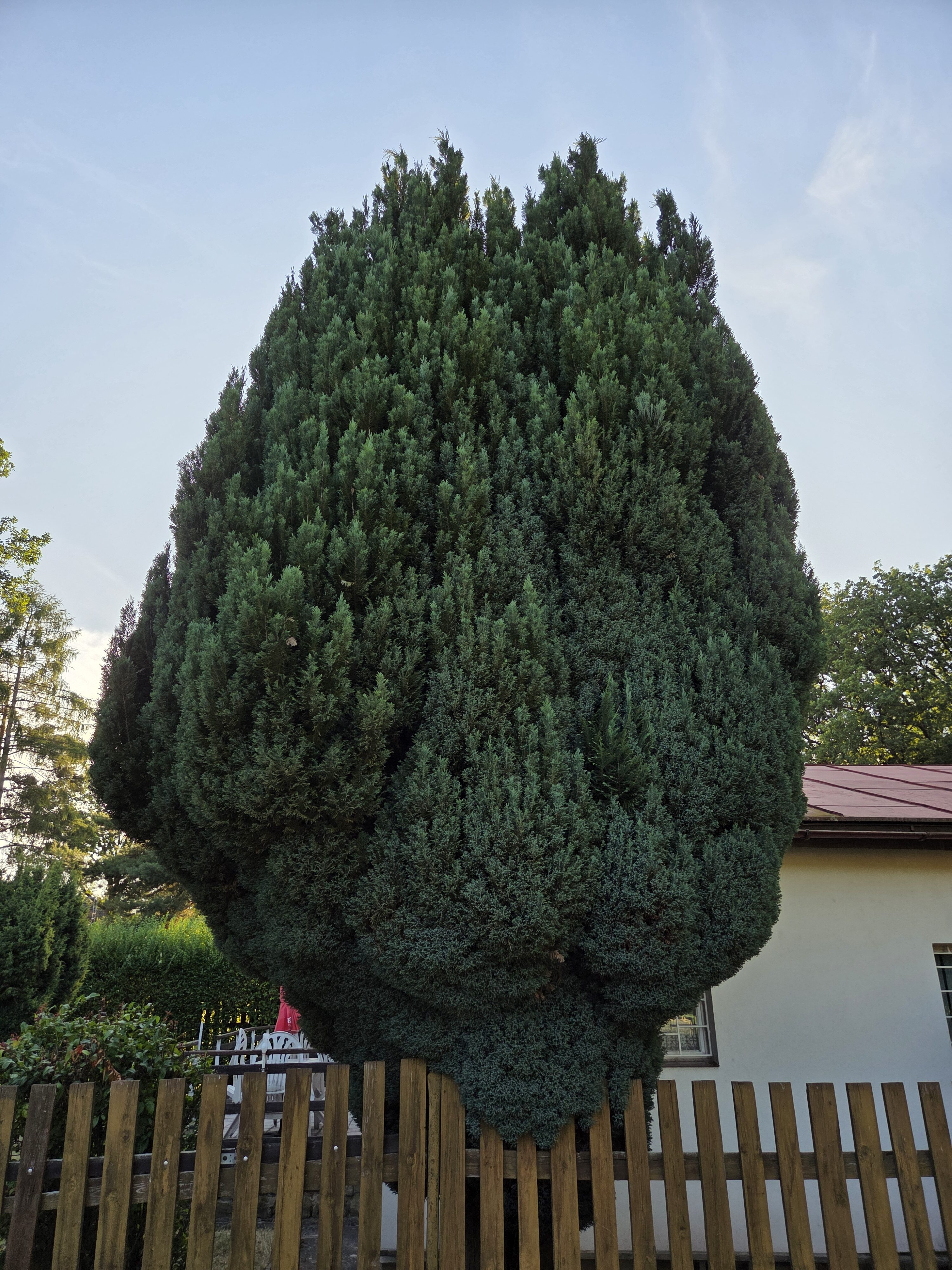 Galaxy S25 Plus denni fotka 24