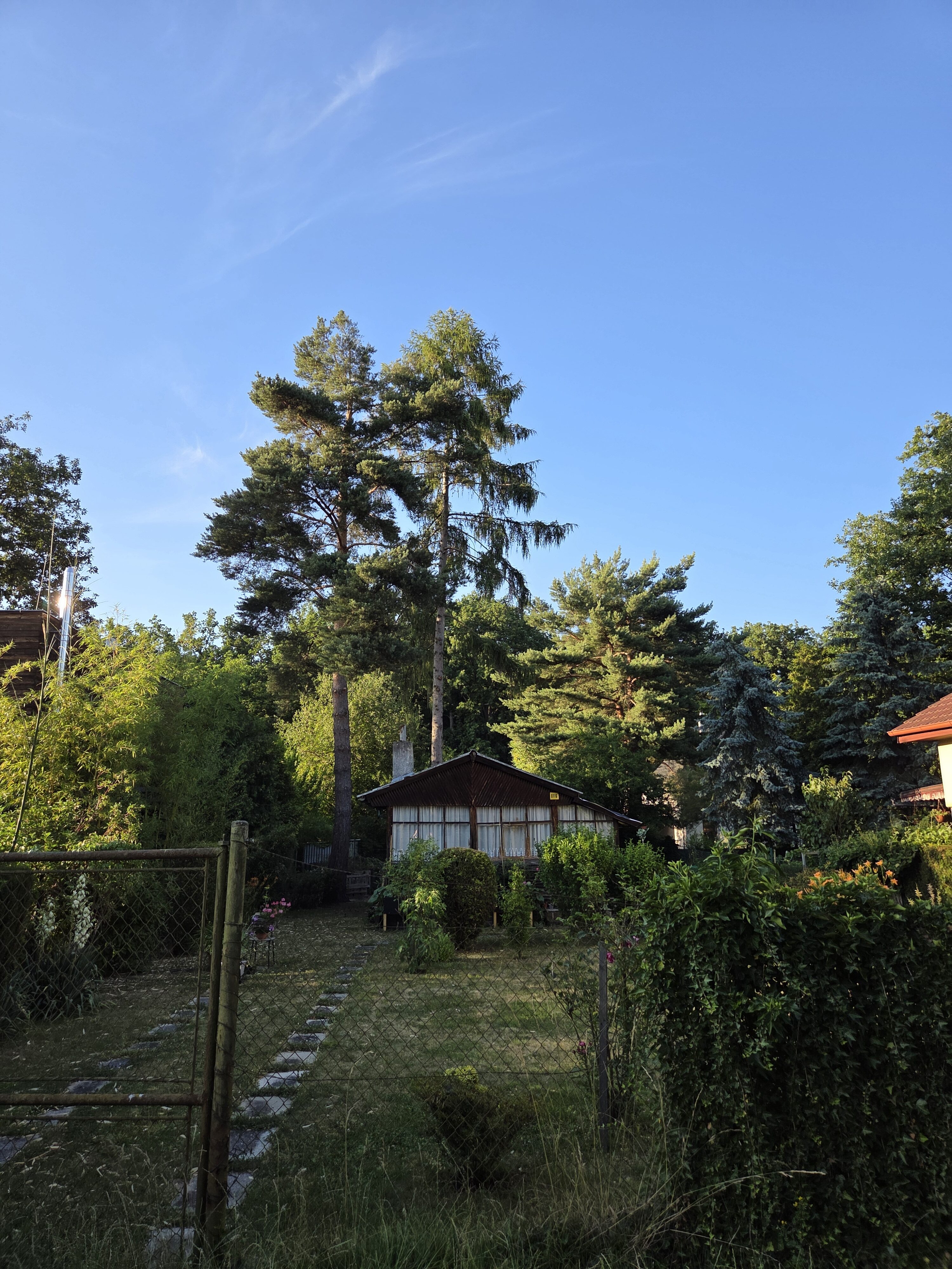 Galaxy S25 Plus denni fotka 25