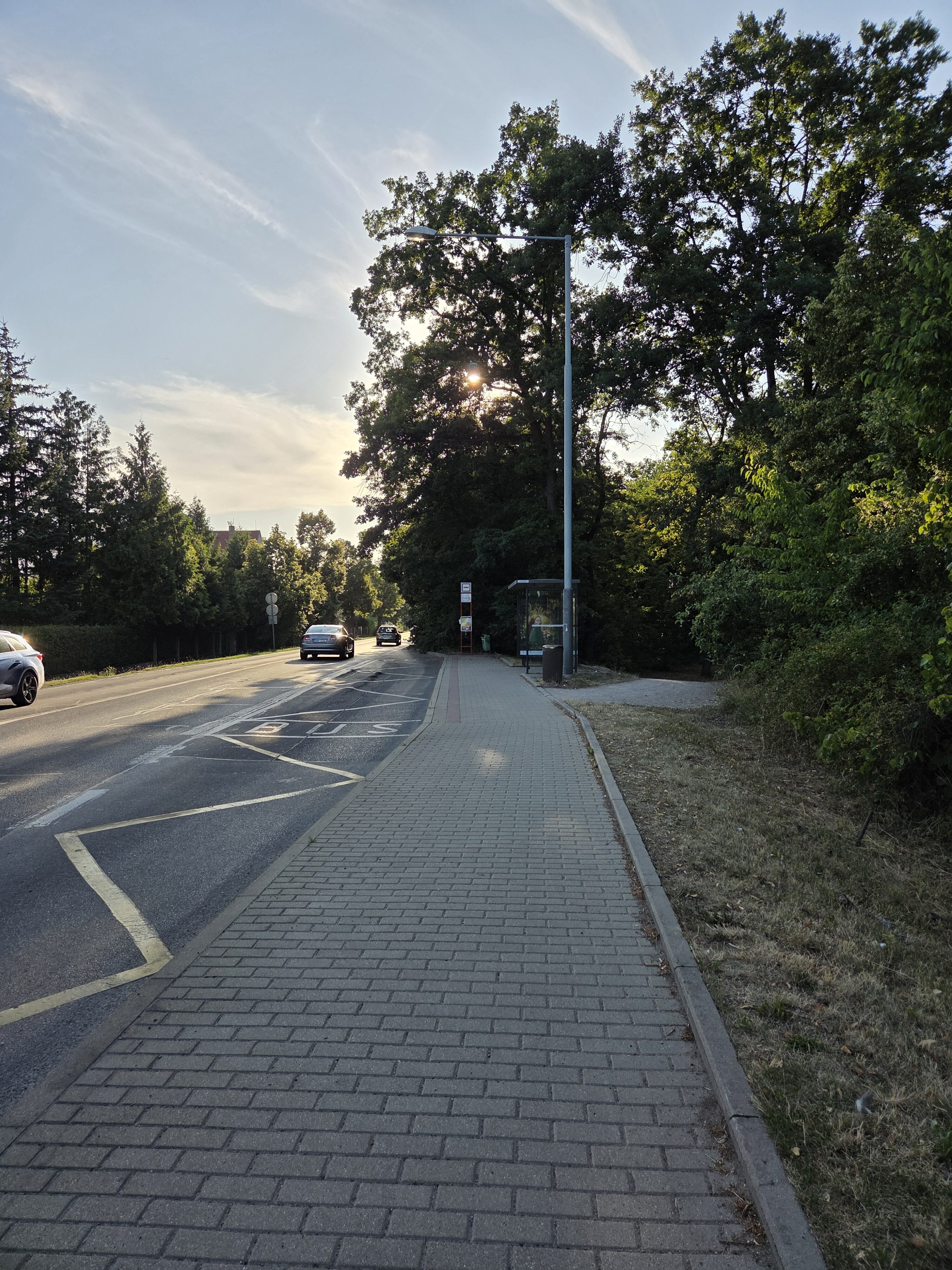 Galaxy S25 Plus denni fotka 26