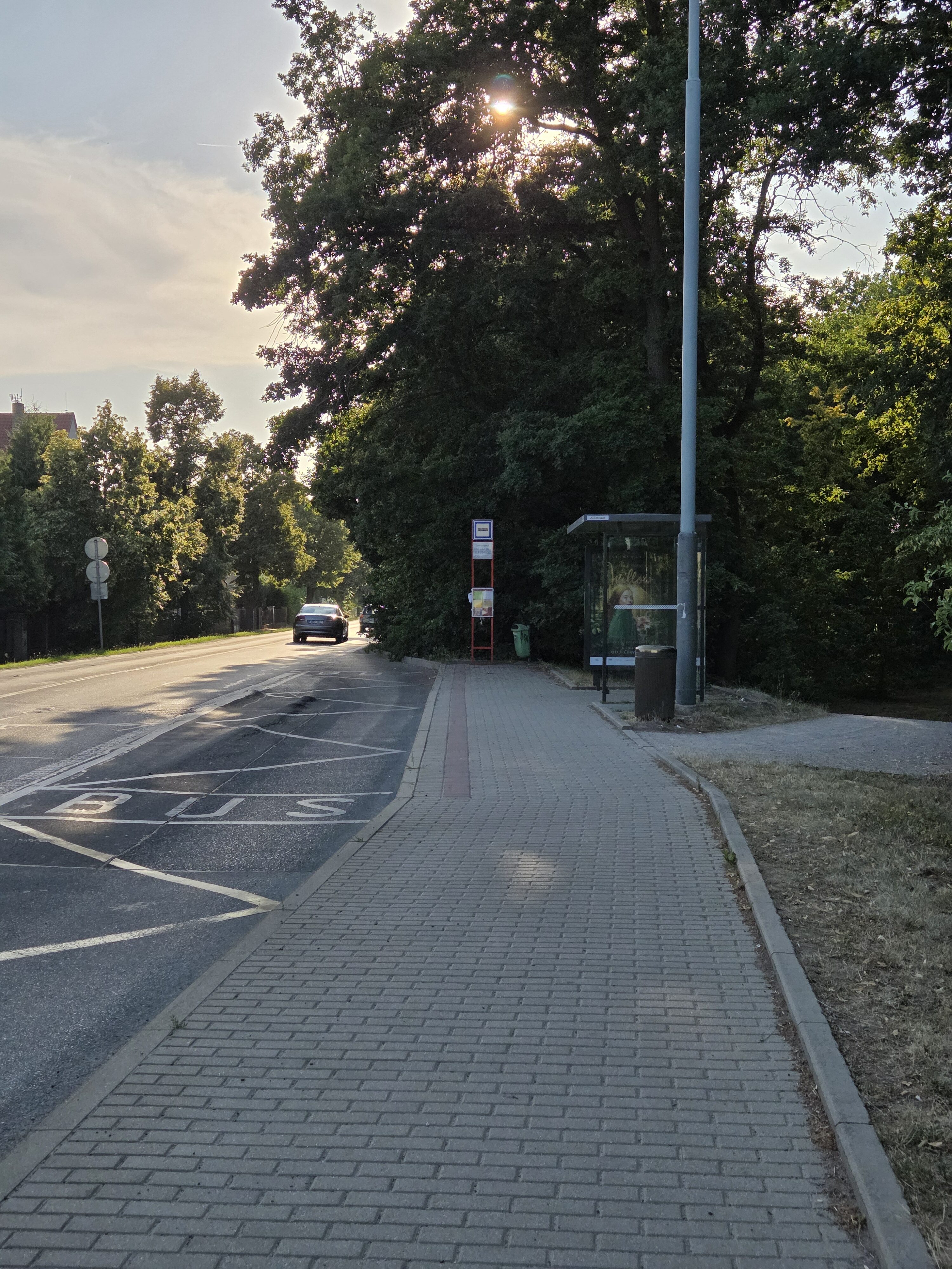 Galaxy S25 Plus denni fotka 27