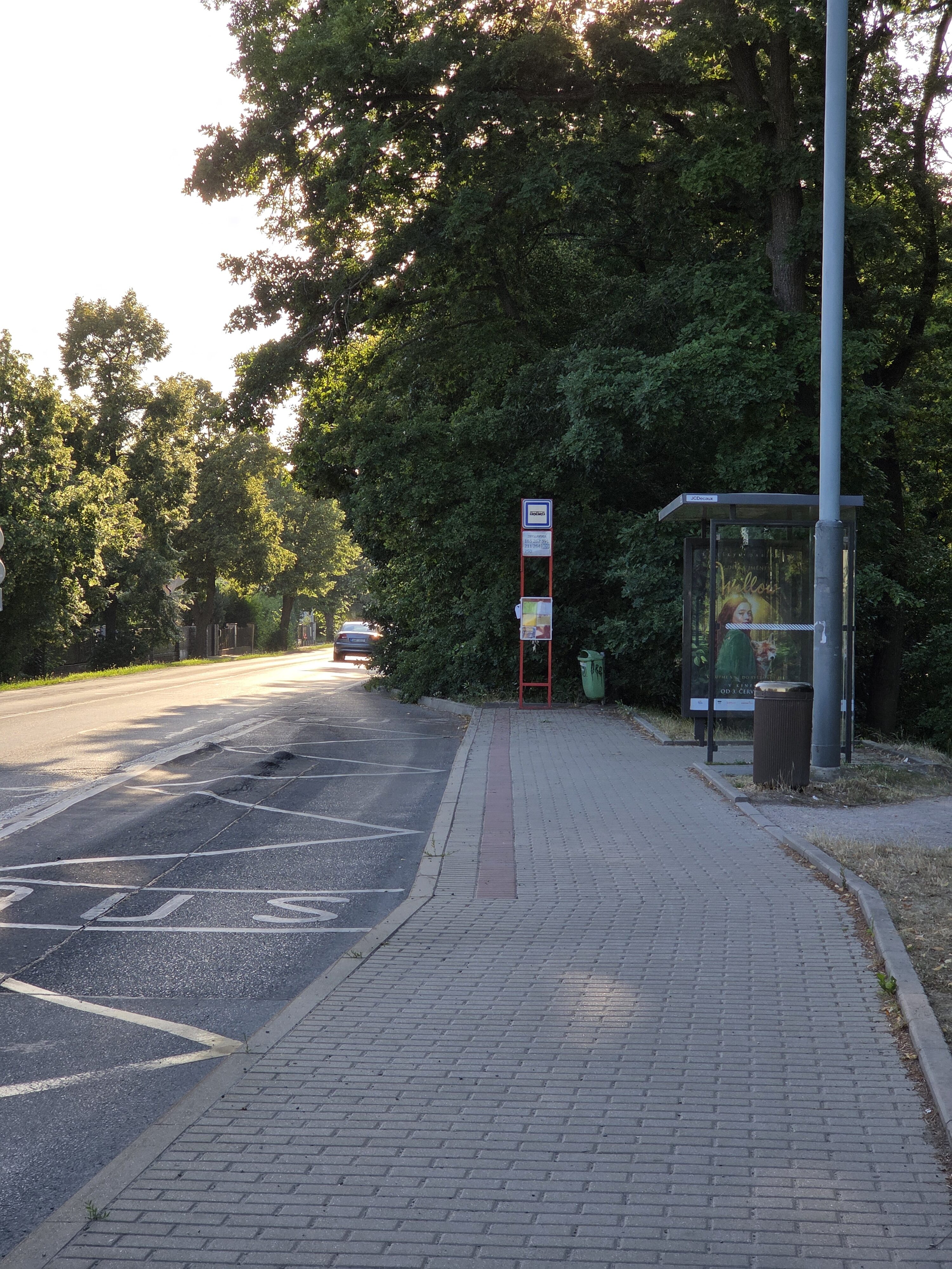 Galaxy S25 Plus denni fotka 28