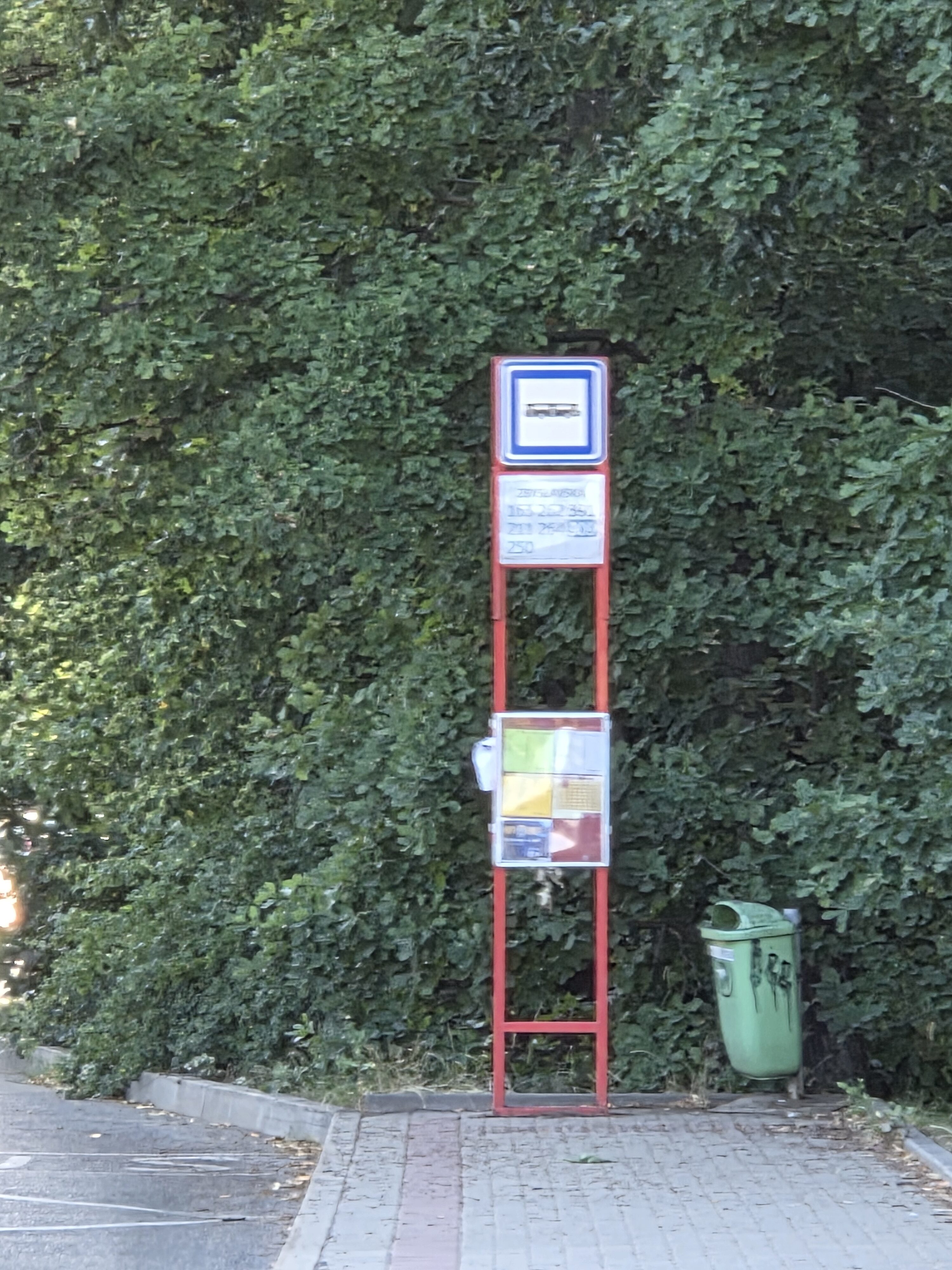 Galaxy S25 Plus denni fotka 29