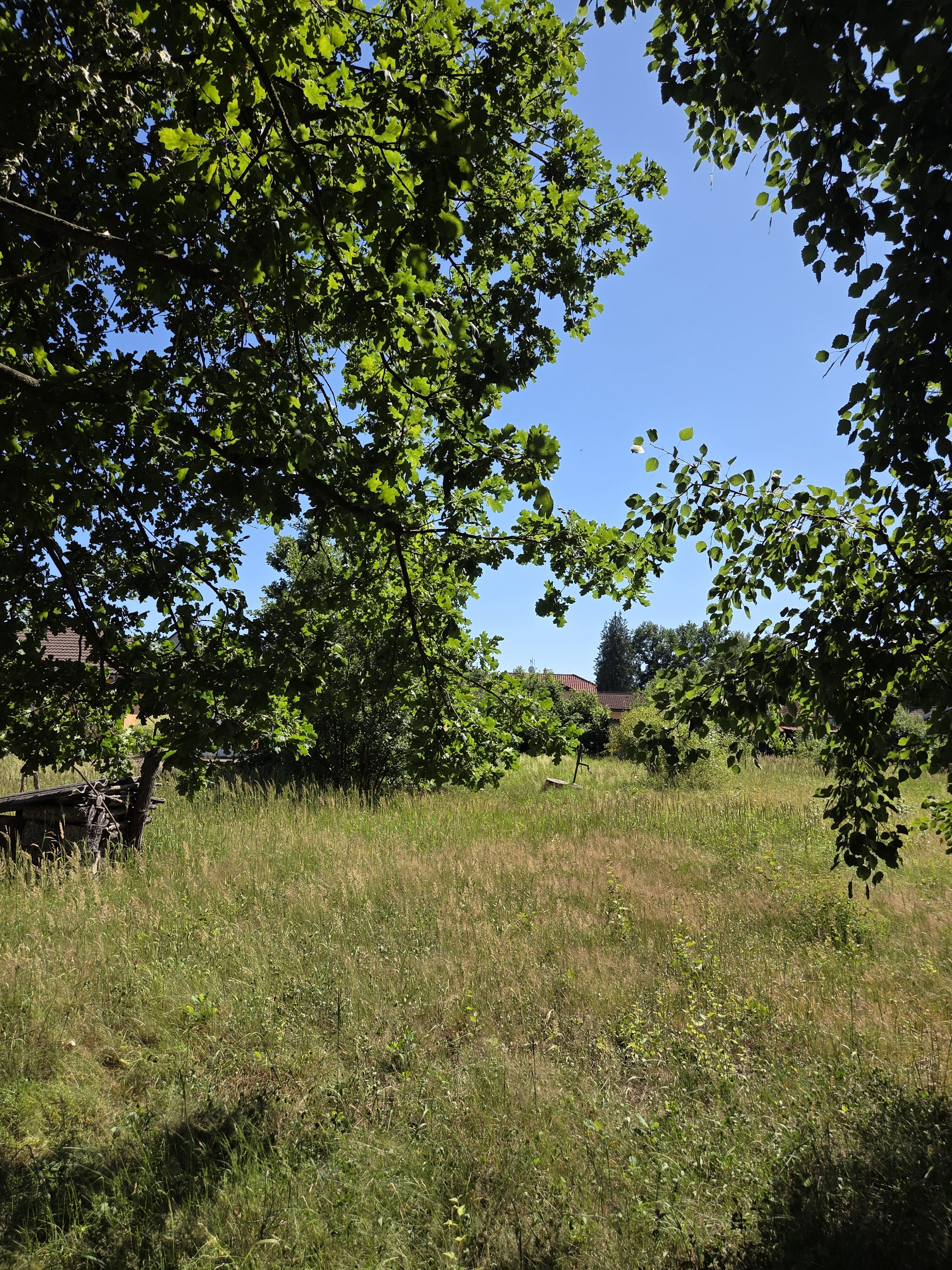 Galaxy S25 Plus denni fotka 3