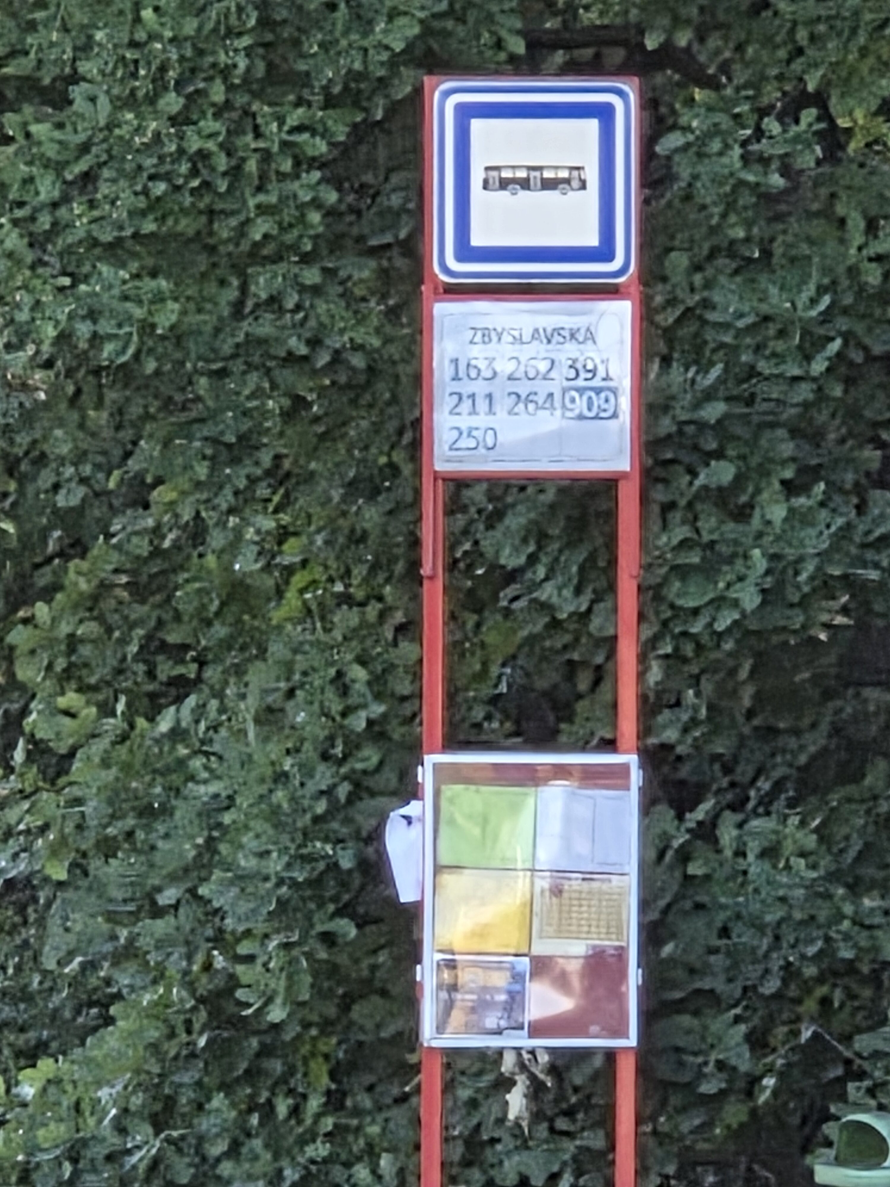 Galaxy S25 Plus denni fotka 30