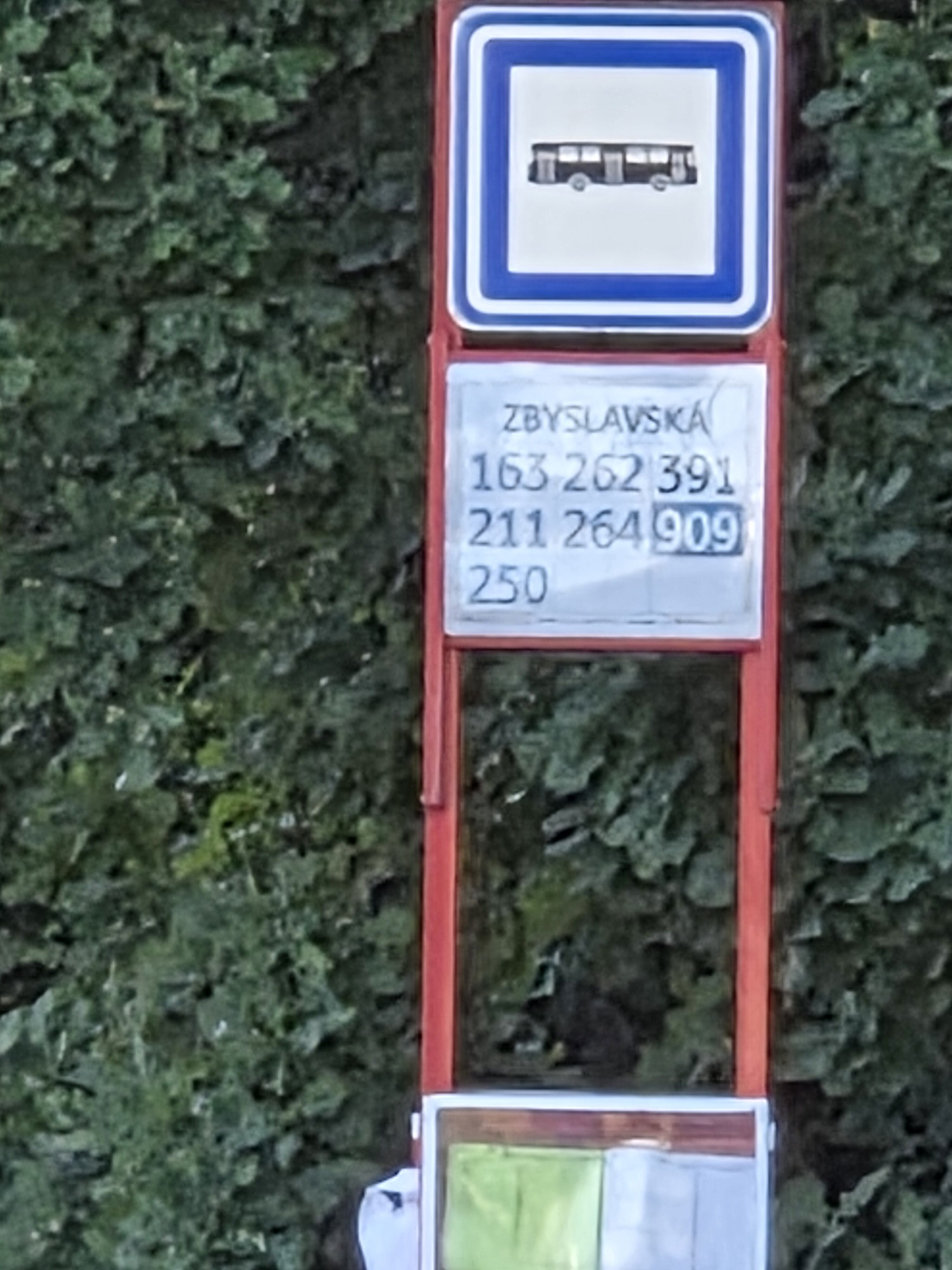 Galaxy S25 Plus denni fotka 31