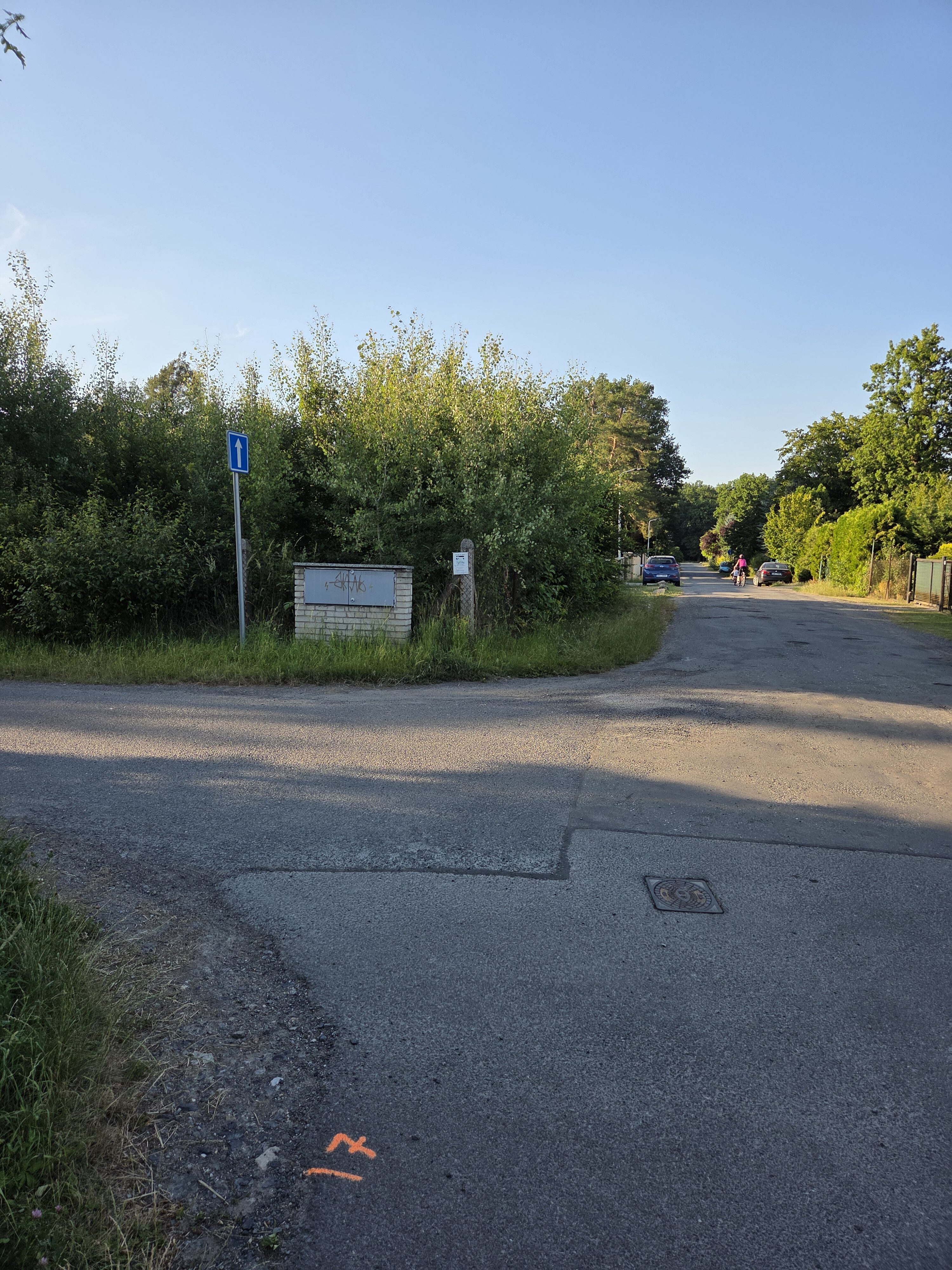 Galaxy S25 Plus denni fotka 32