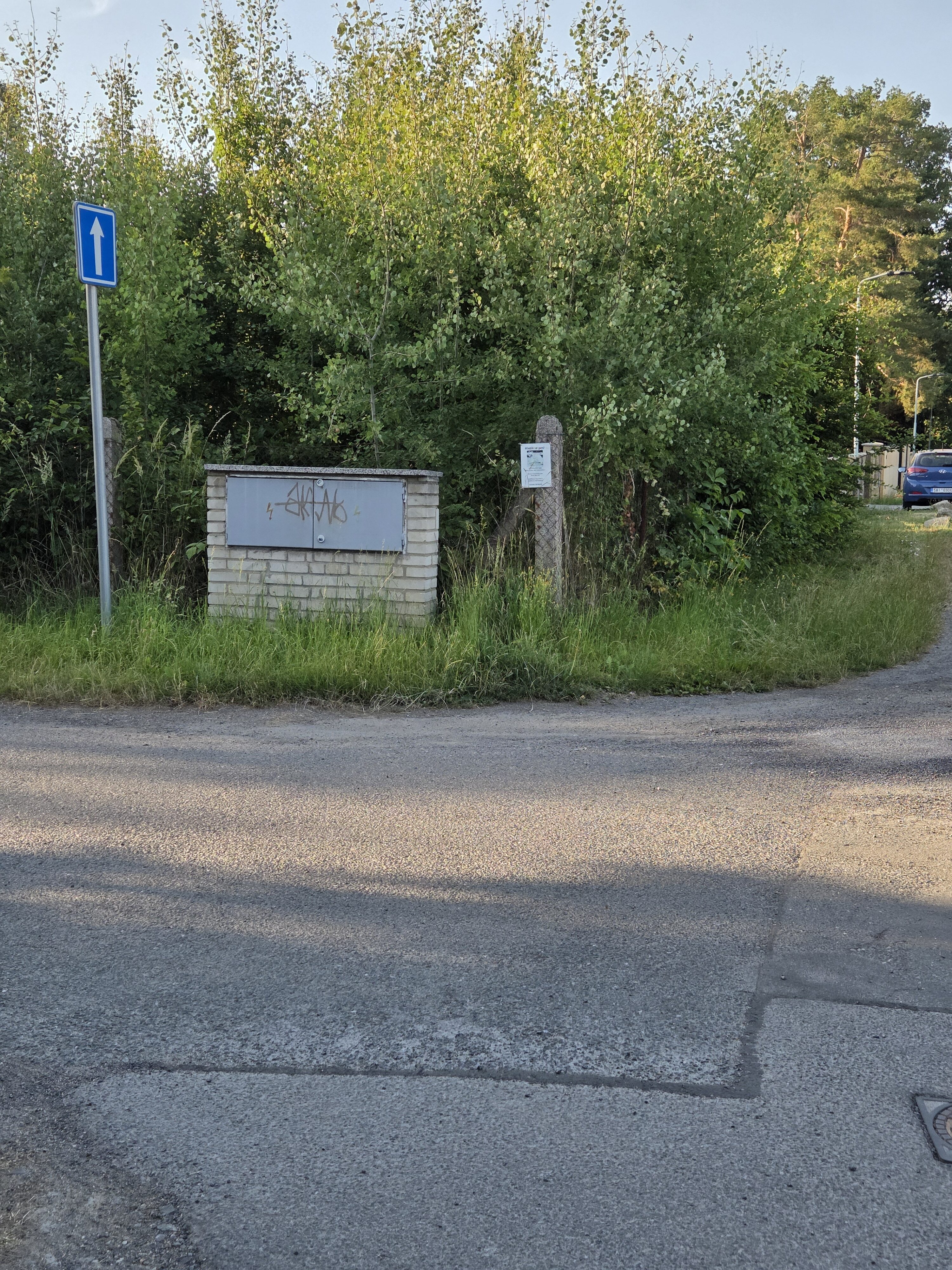 Galaxy S25 Plus denni fotka 33