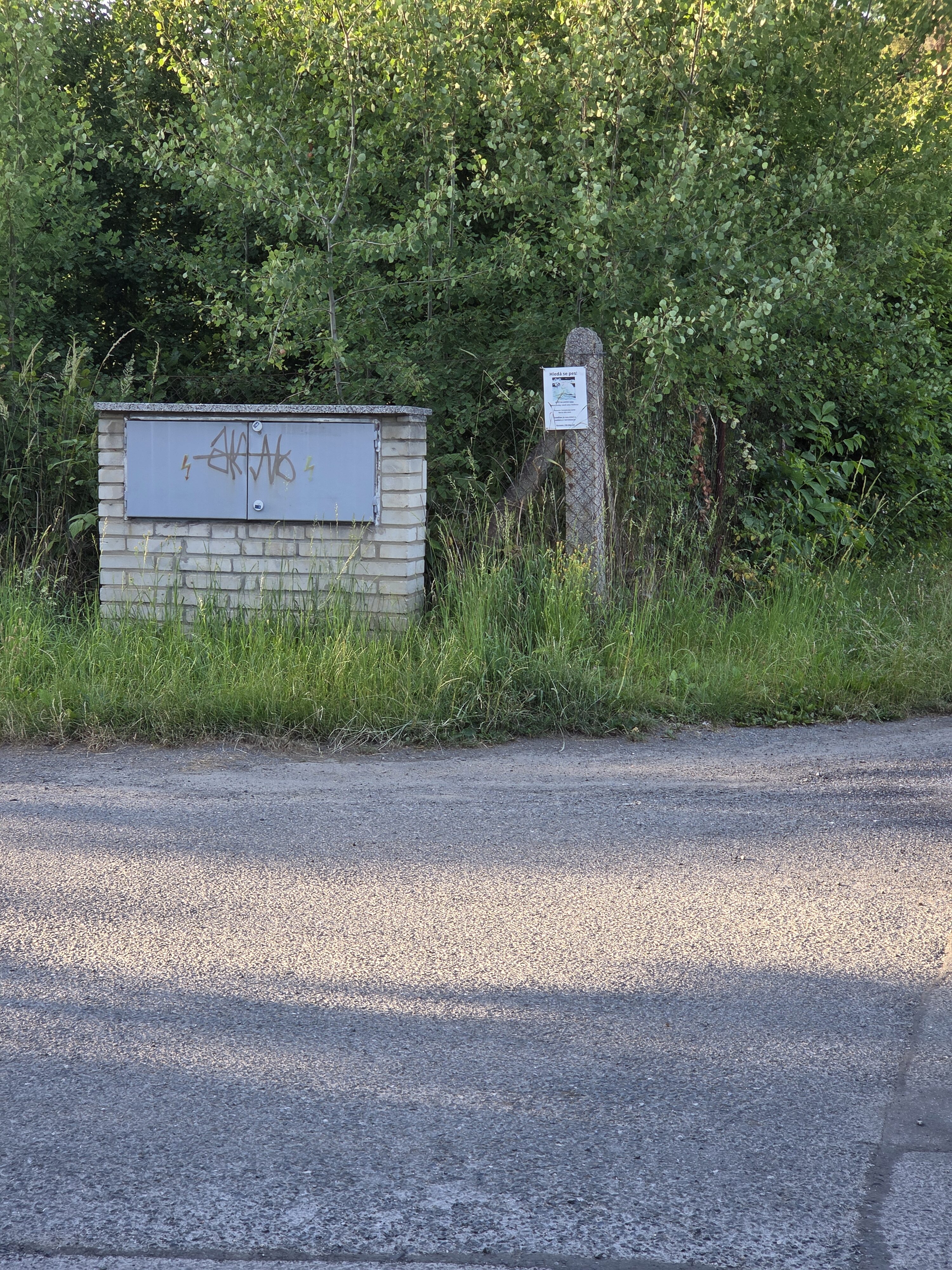 Galaxy S25 Plus denni fotka 34