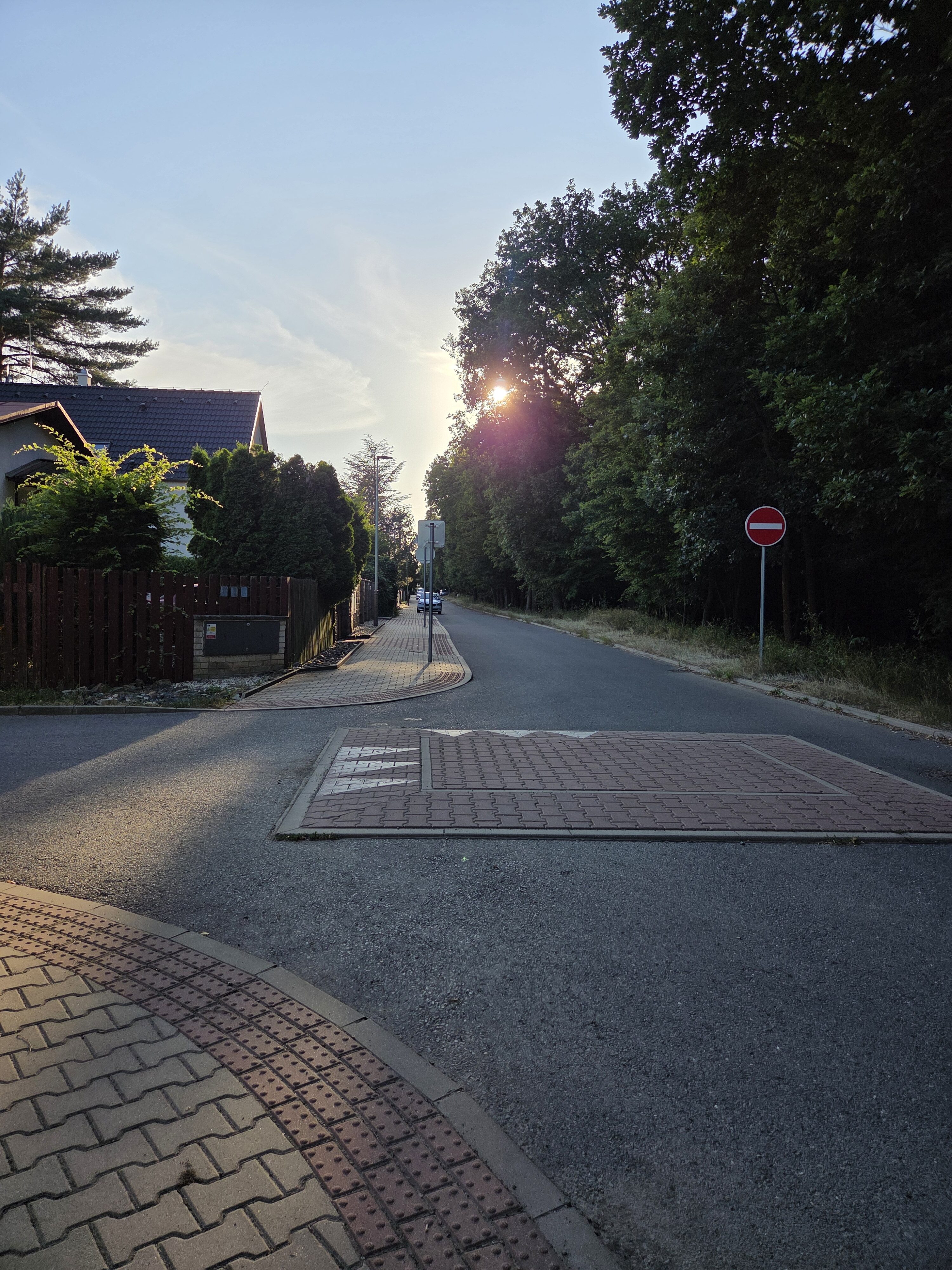 Galaxy S25 Plus denni fotka 38