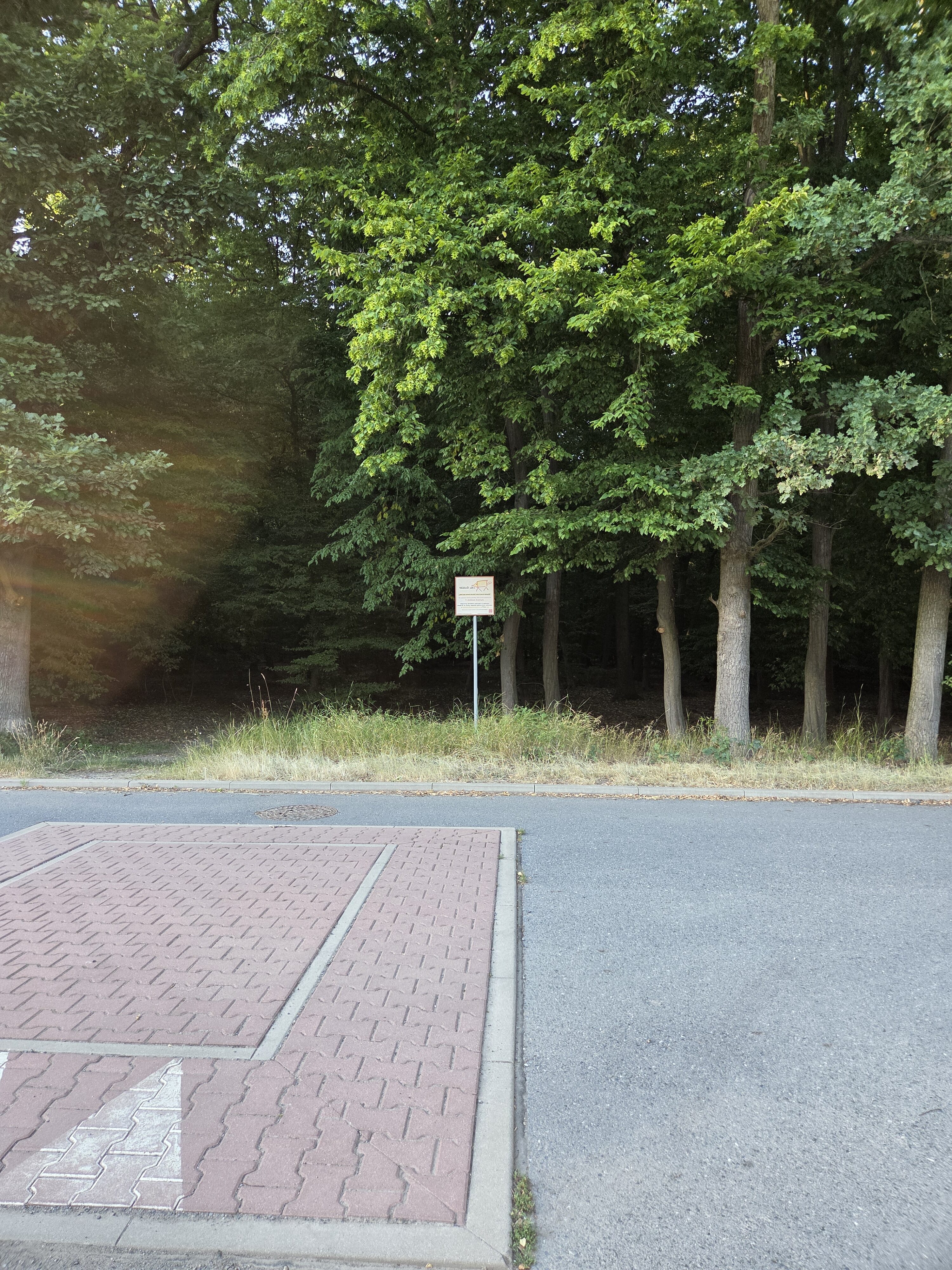 Galaxy S25 Plus denni fotka 39