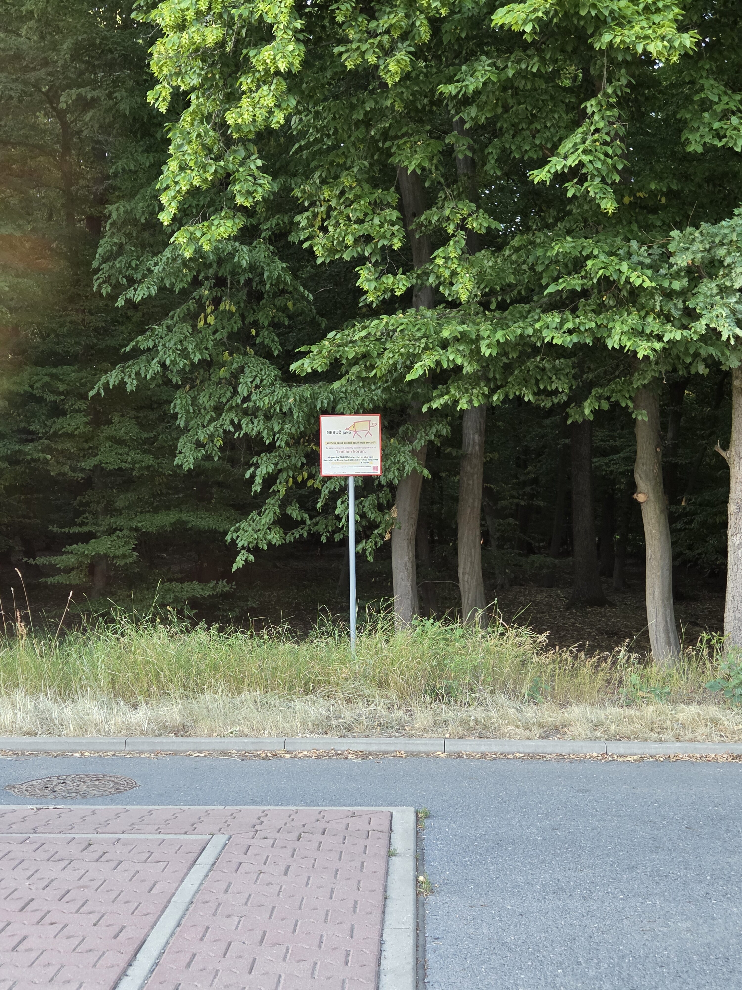 Galaxy S25 Plus denni fotka 40