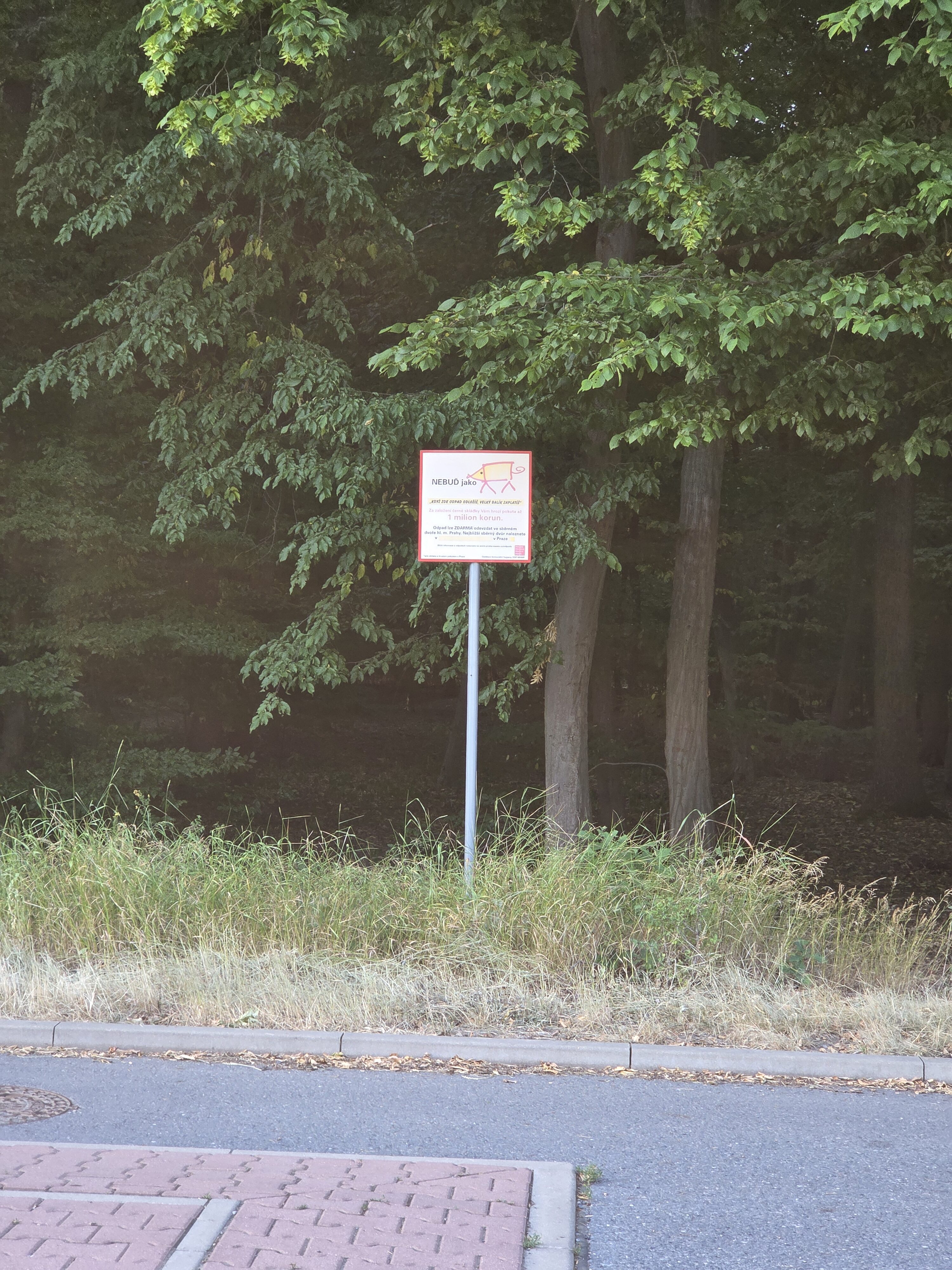 Galaxy S25 Plus denni fotka 41