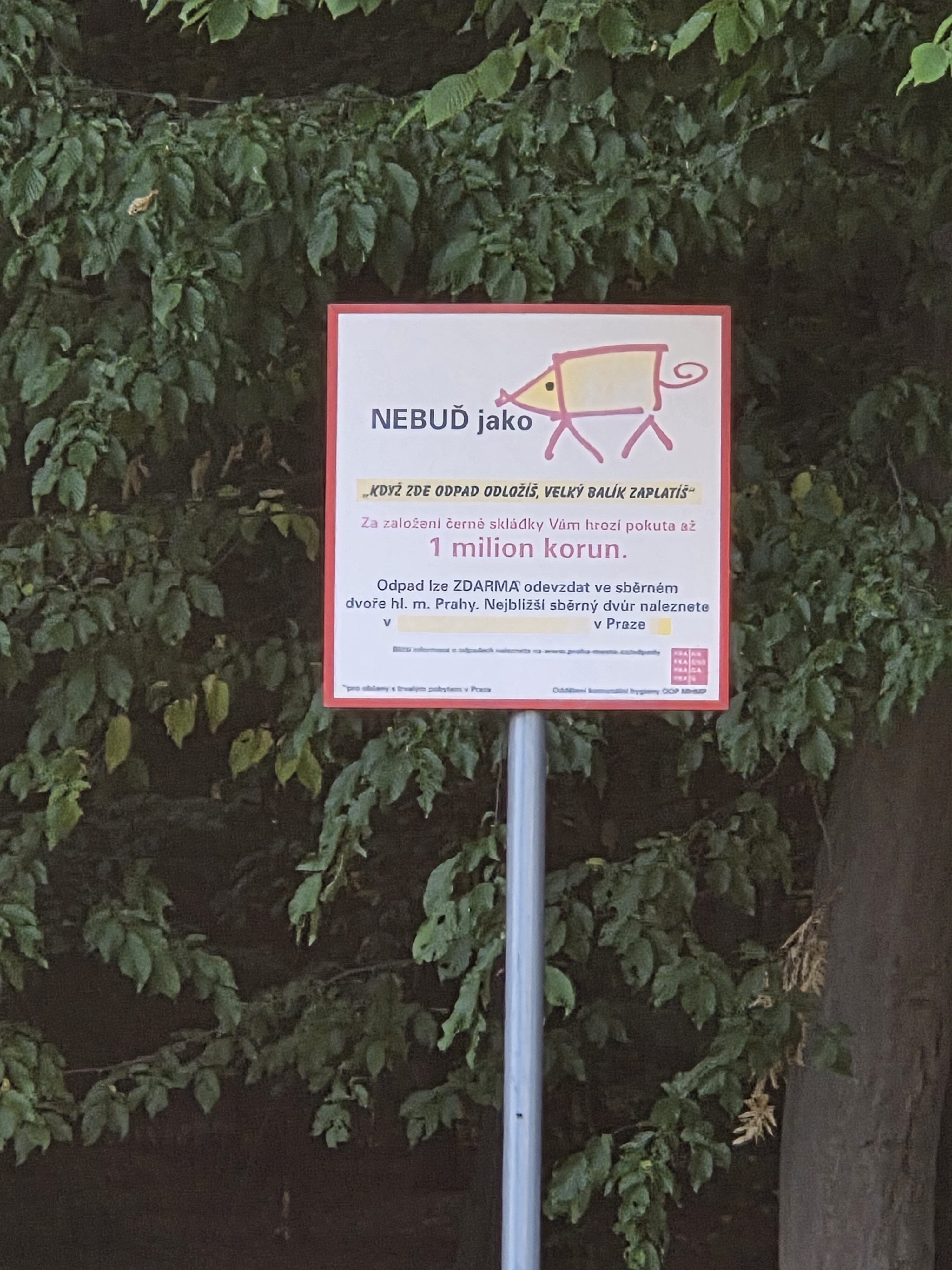 Galaxy S25 Plus denni fotka 42