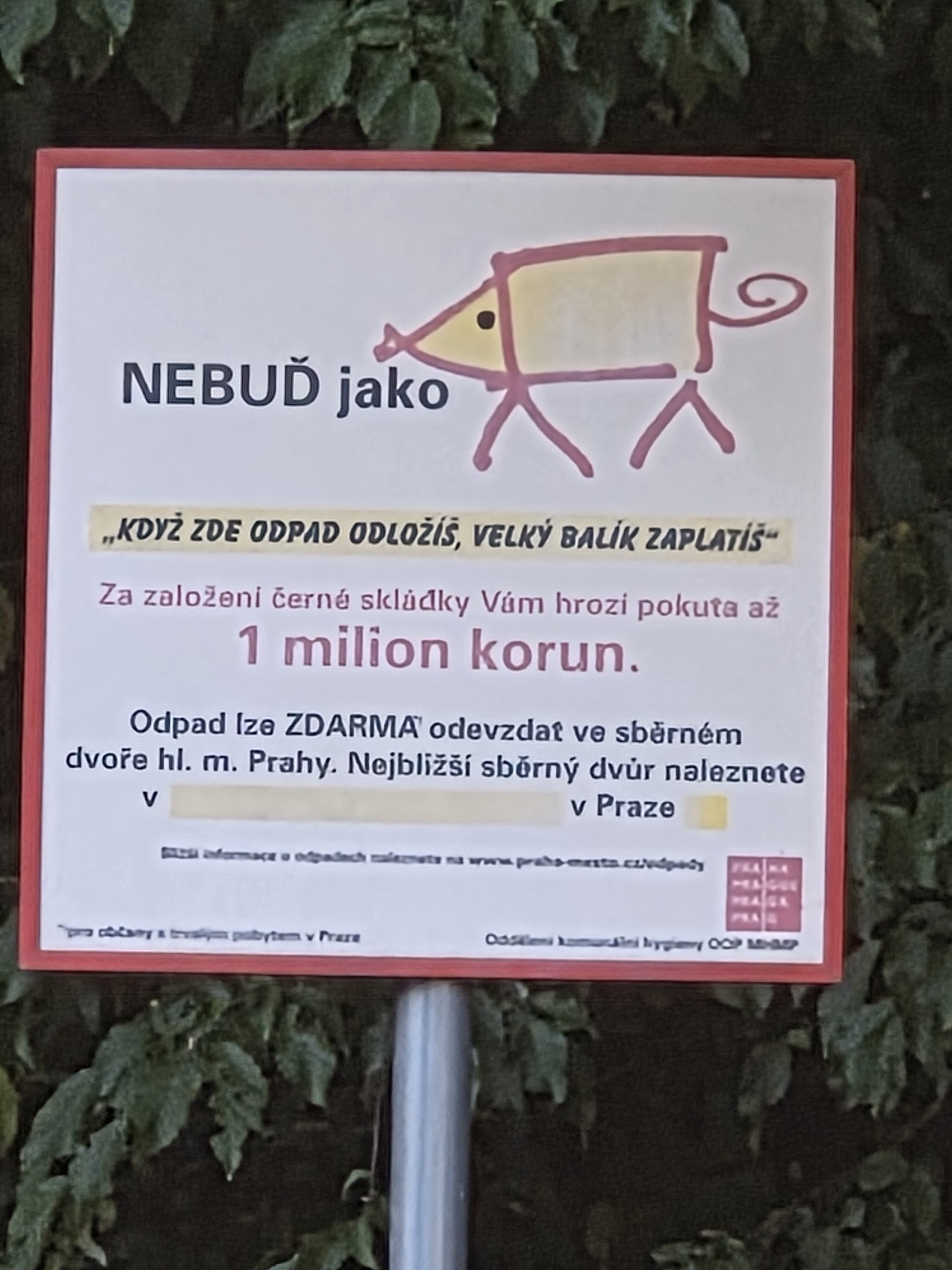 Galaxy S25 Plus denni fotka 43