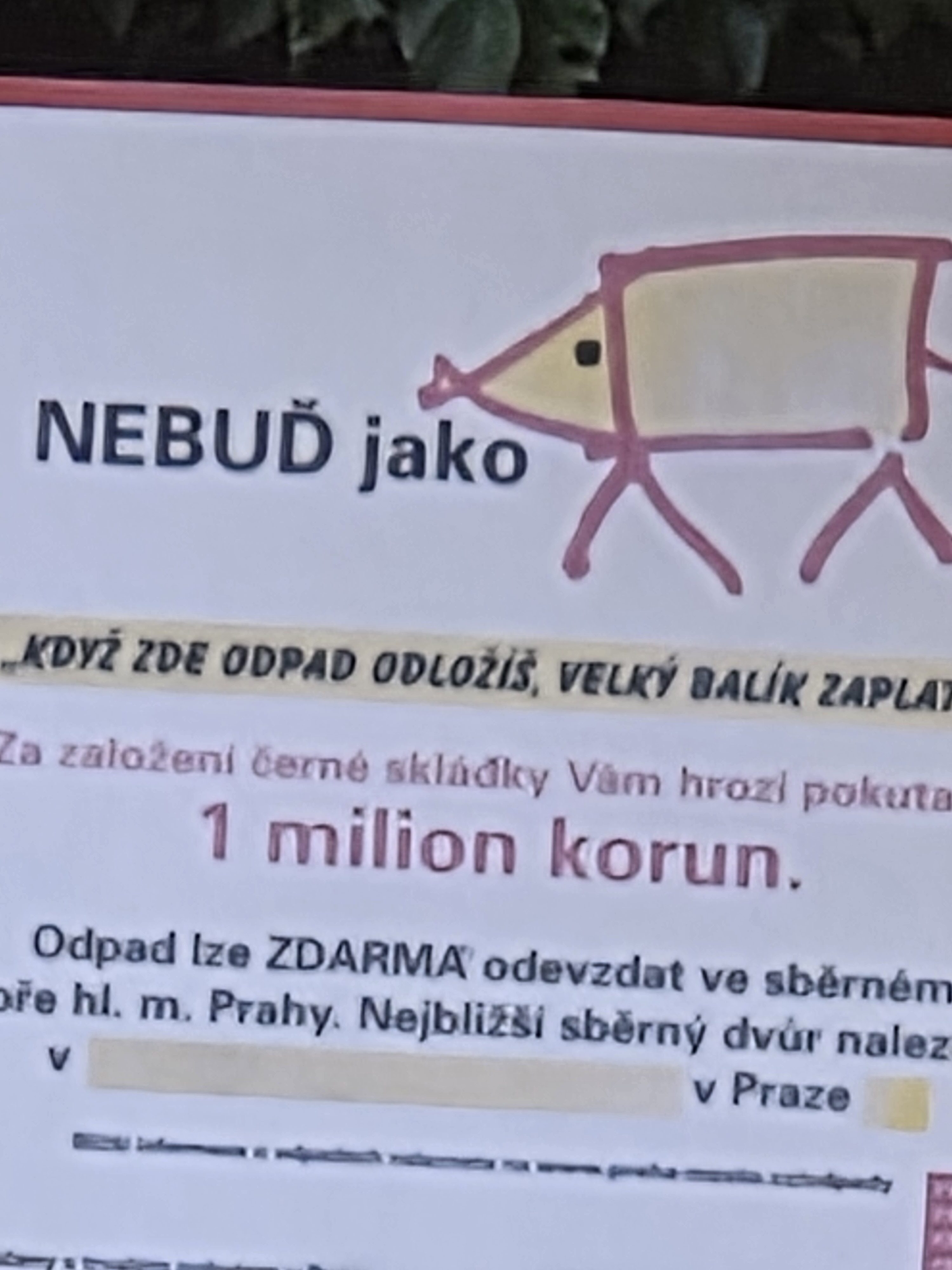 Galaxy S25 Plus denni fotka 44